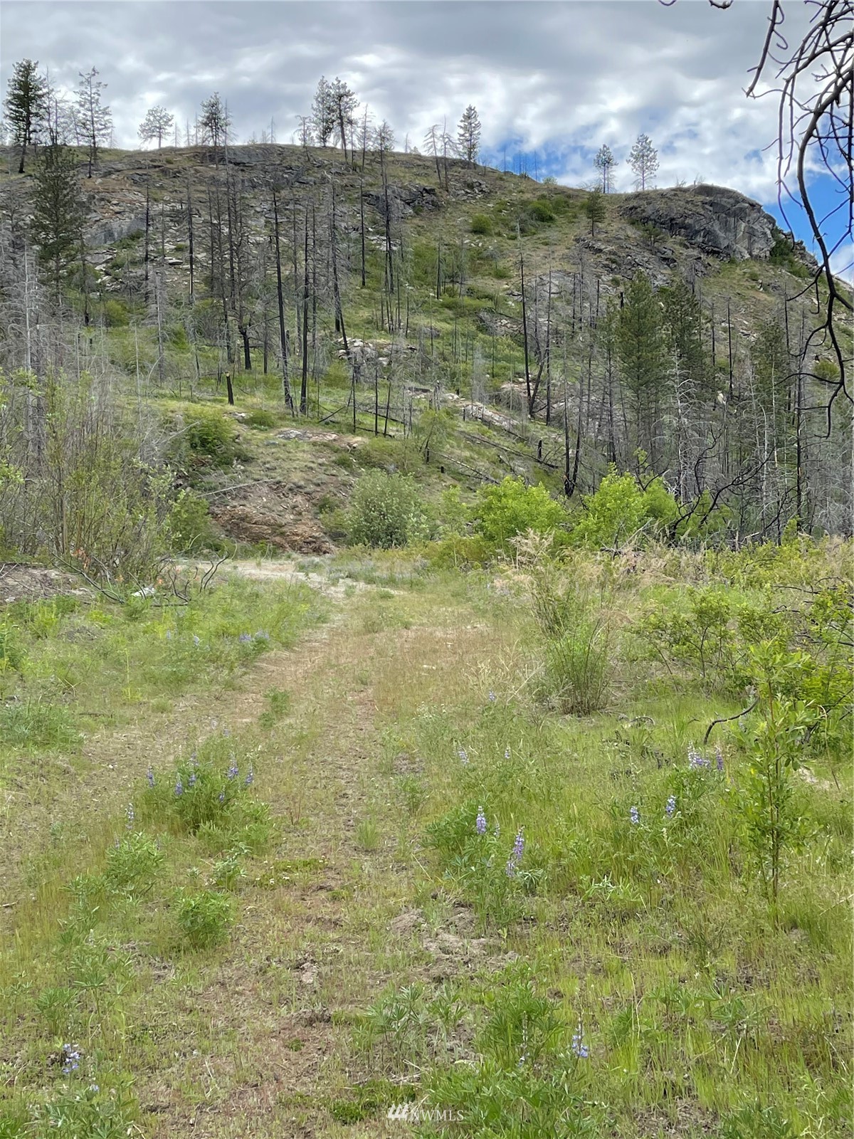 0 960x Knox Road Property Photo 14