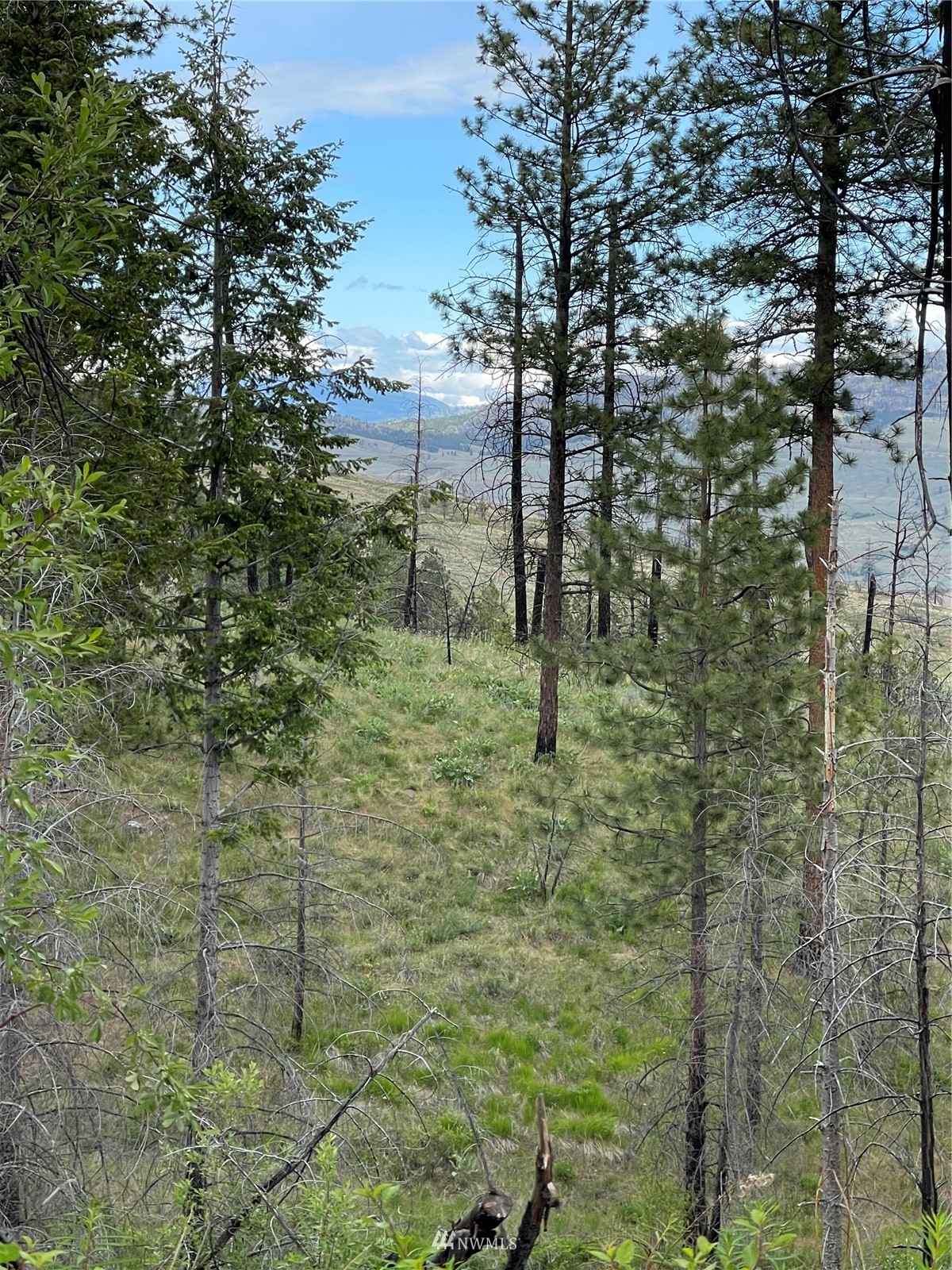 0 960x Knox Road Property Photo 18