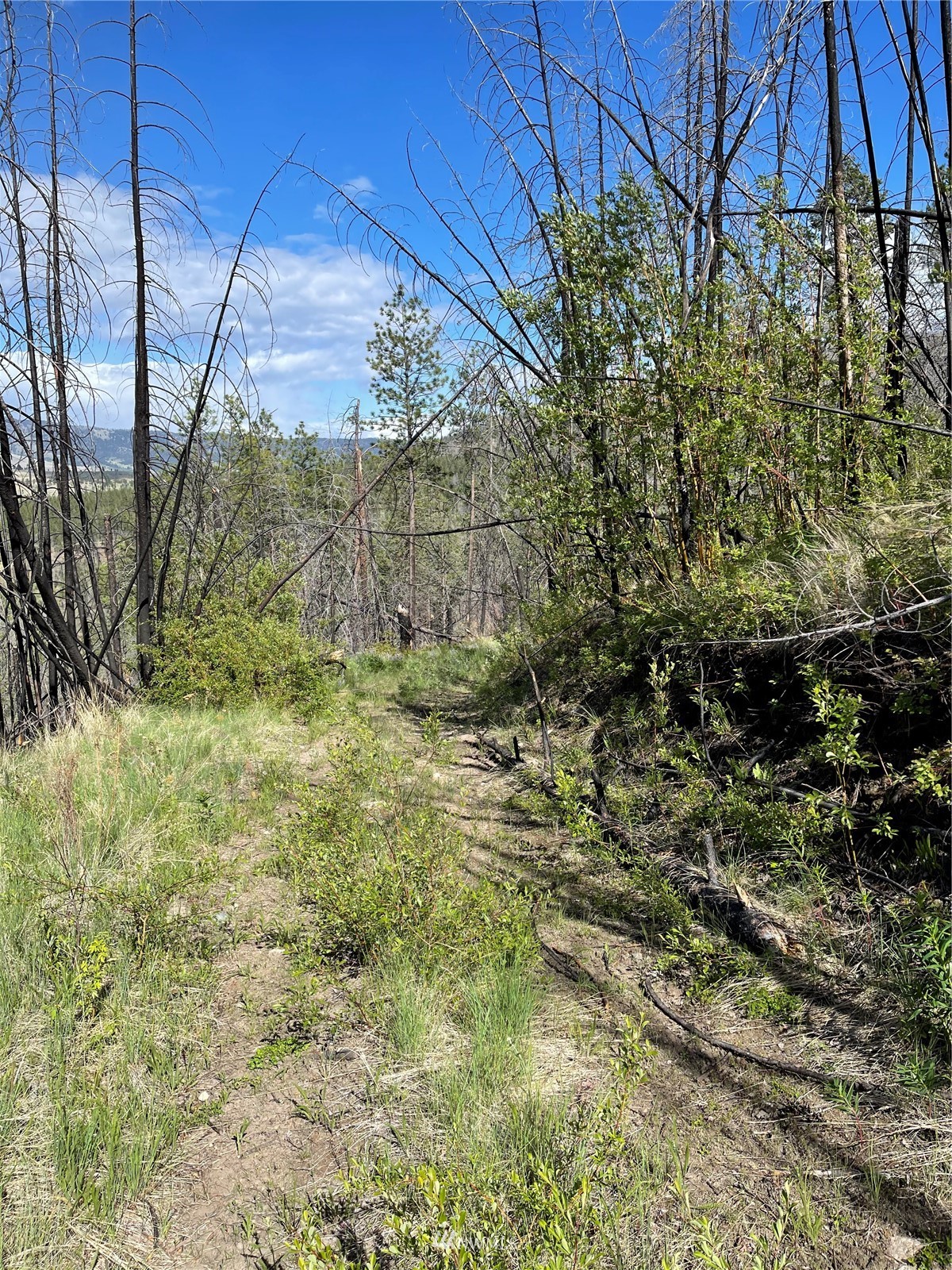 0 960x Knox Road Property Photo 33