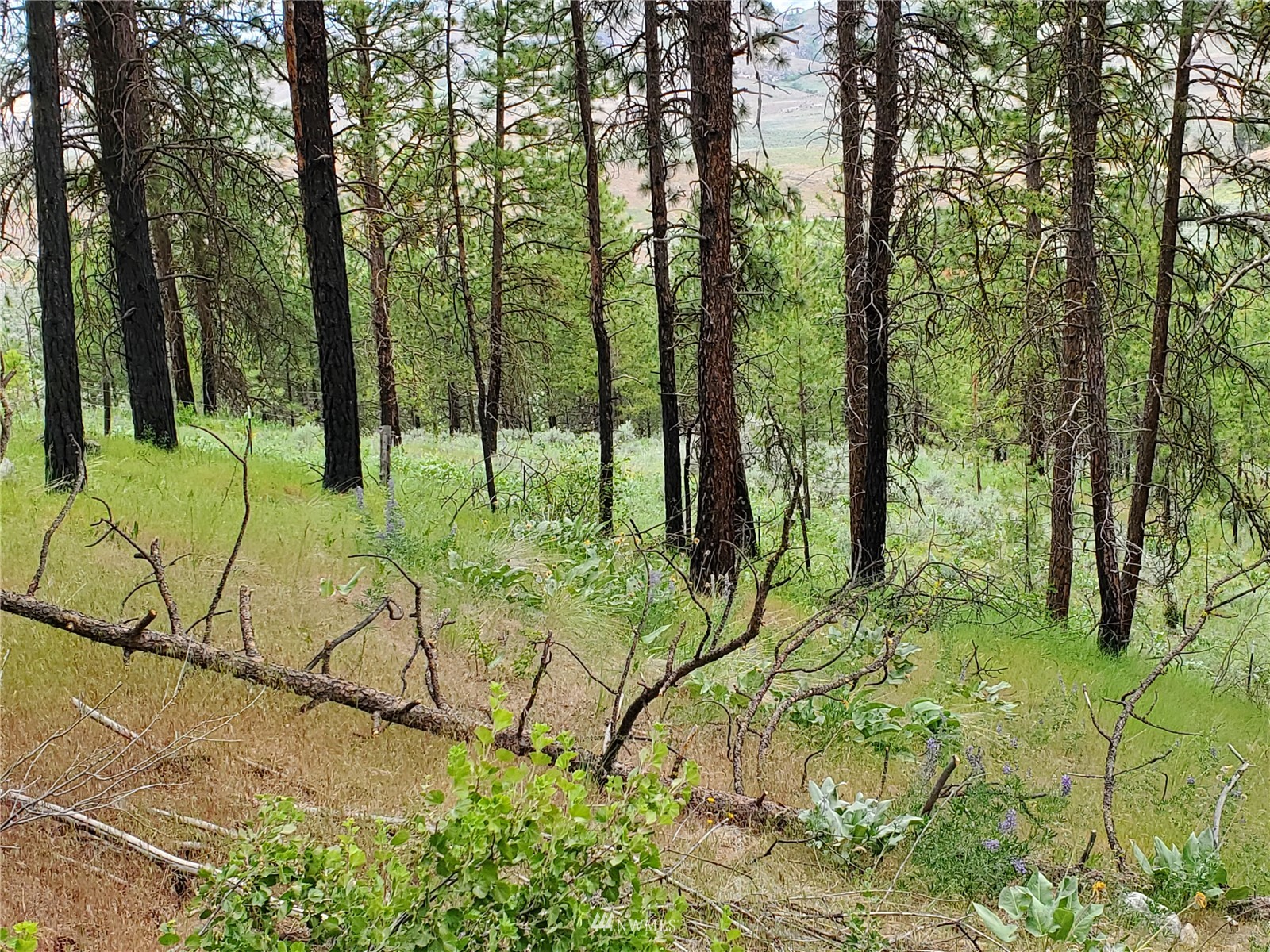 0 570x Tunk Creek Road Property Photo 2