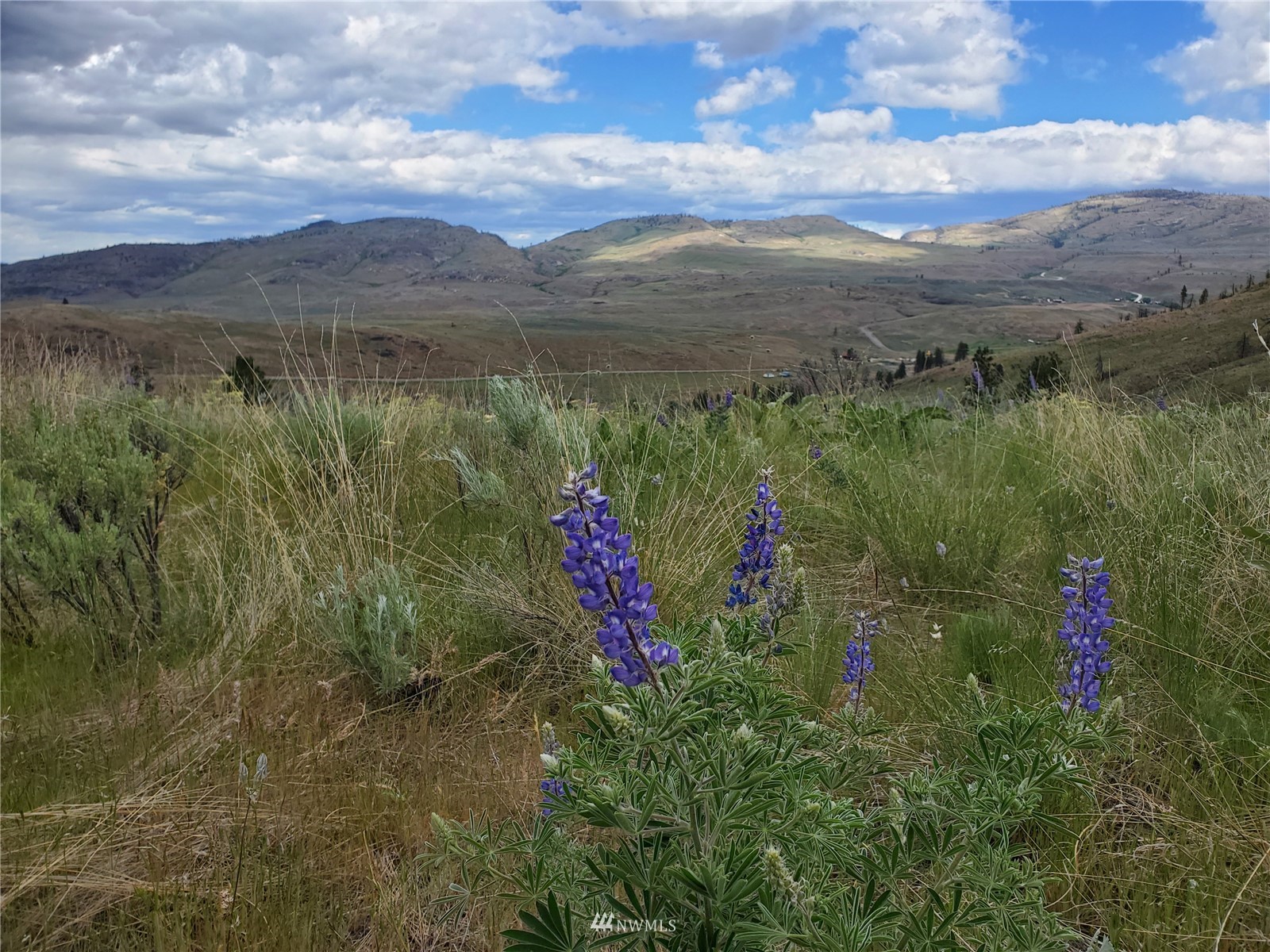 0 570x Tunk Creek Road Property Photo 6