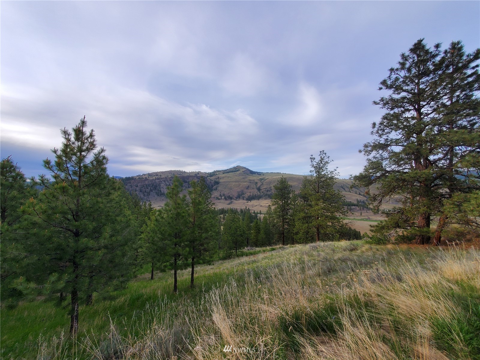0 570x Tunk Creek Road Property Photo 7