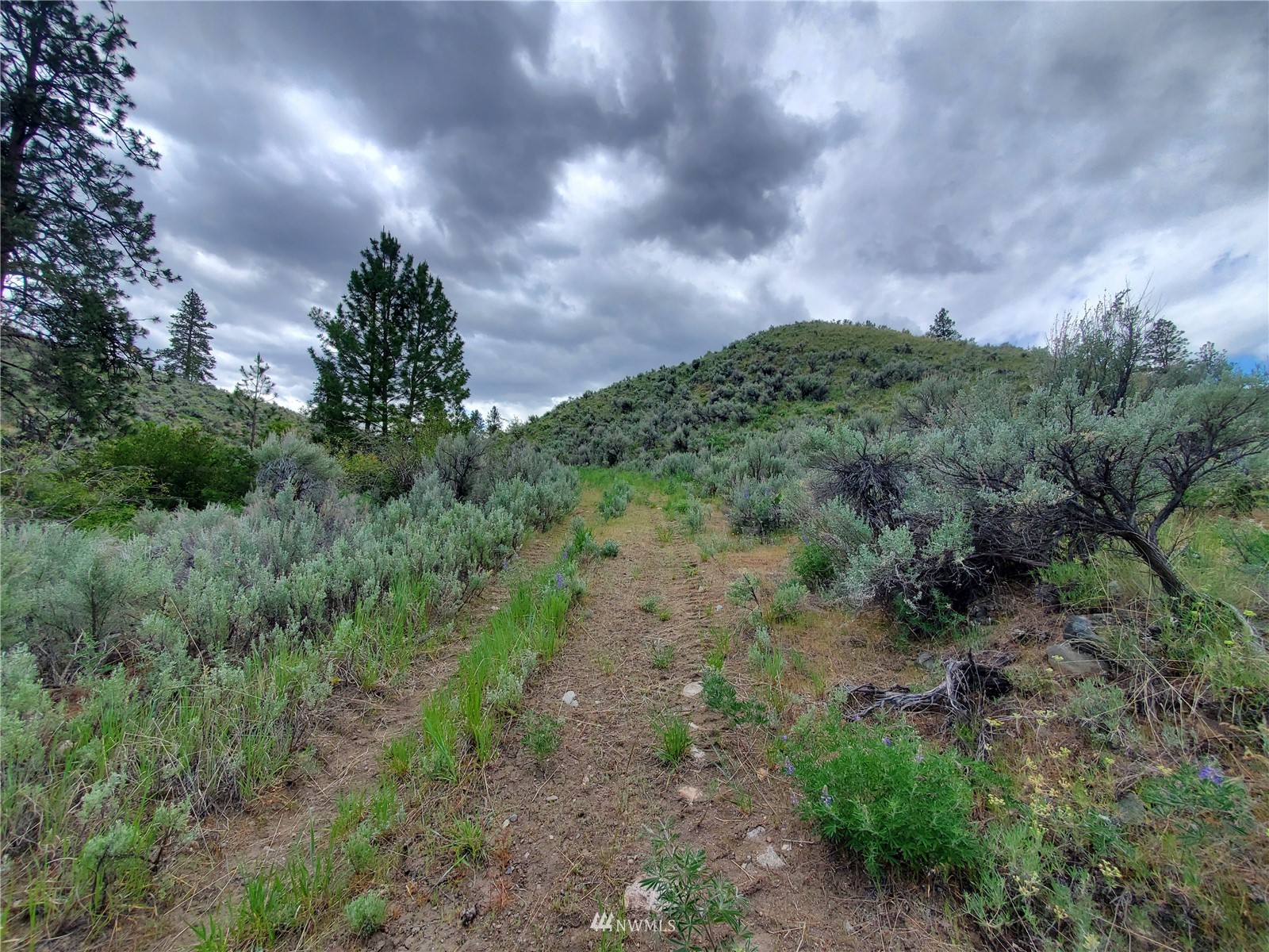 0 570x Tunk Creek Road Property Photo 10
