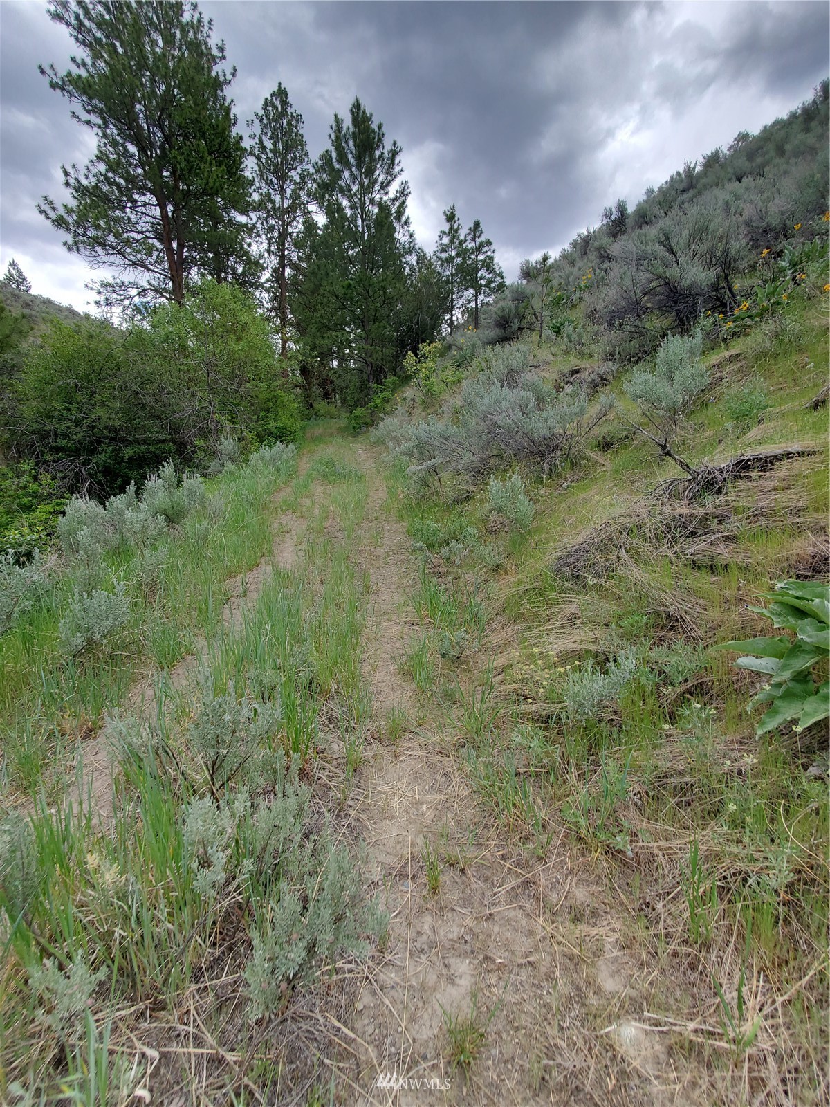 0 570x Tunk Creek Road Property Photo 11