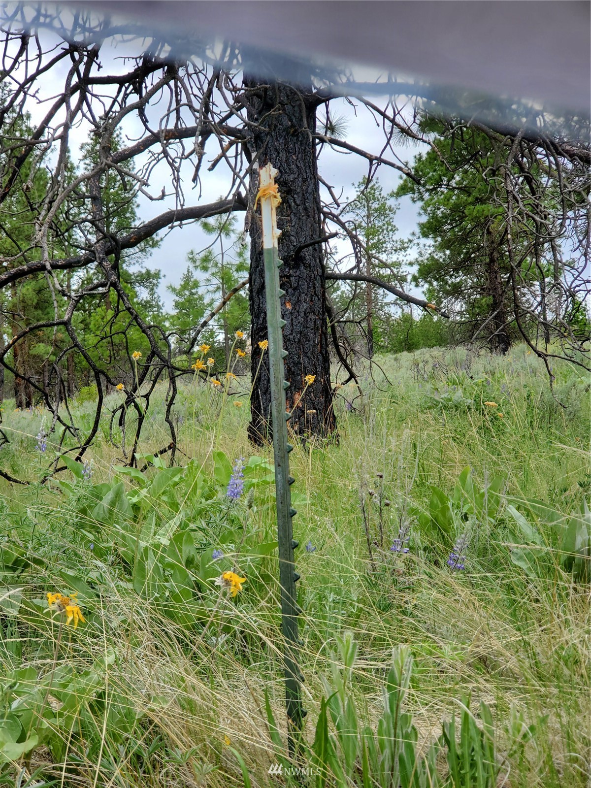 0 570x Tunk Creek Road Property Photo 13