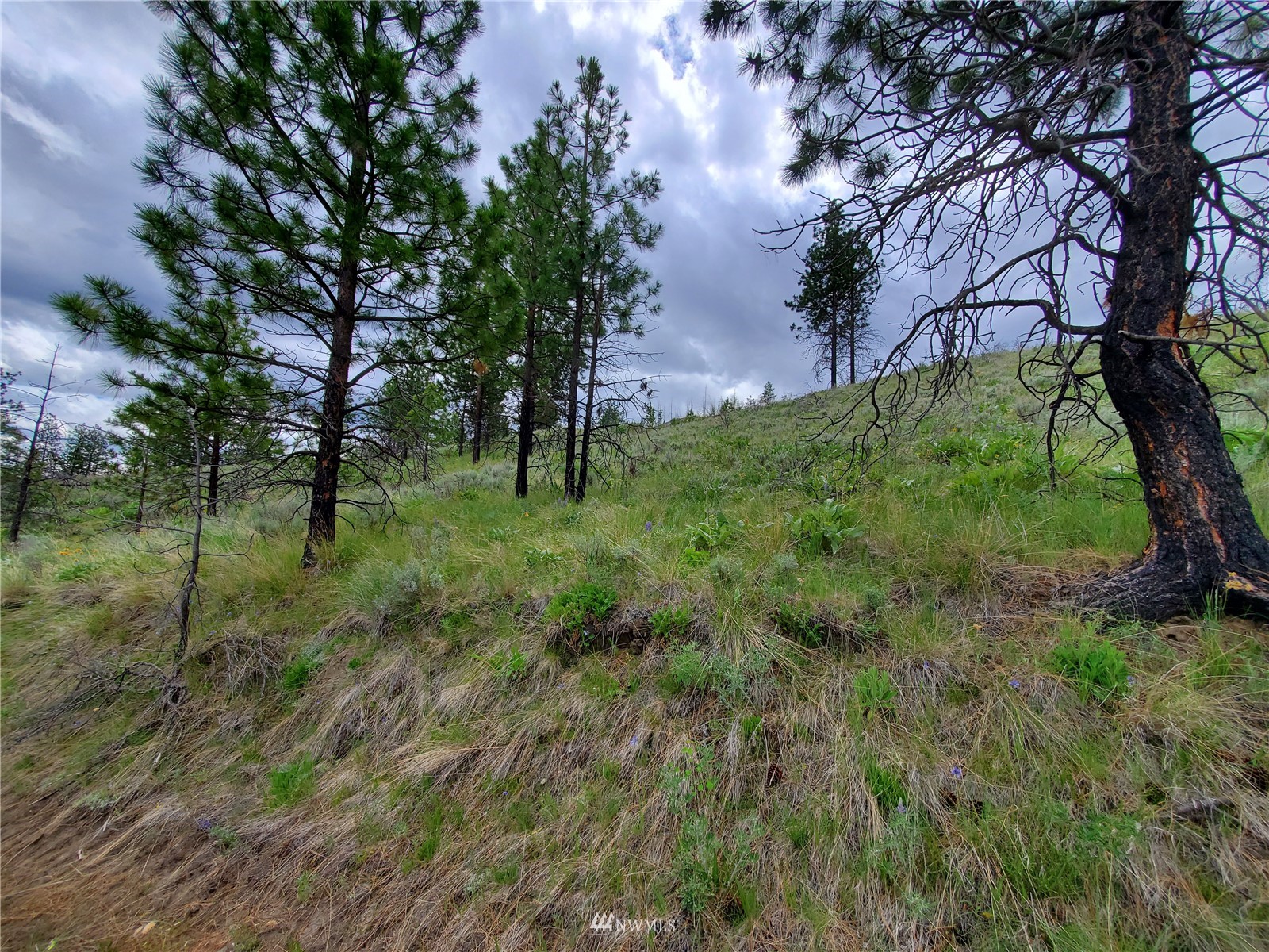 0 570x Tunk Creek Road Property Photo 17