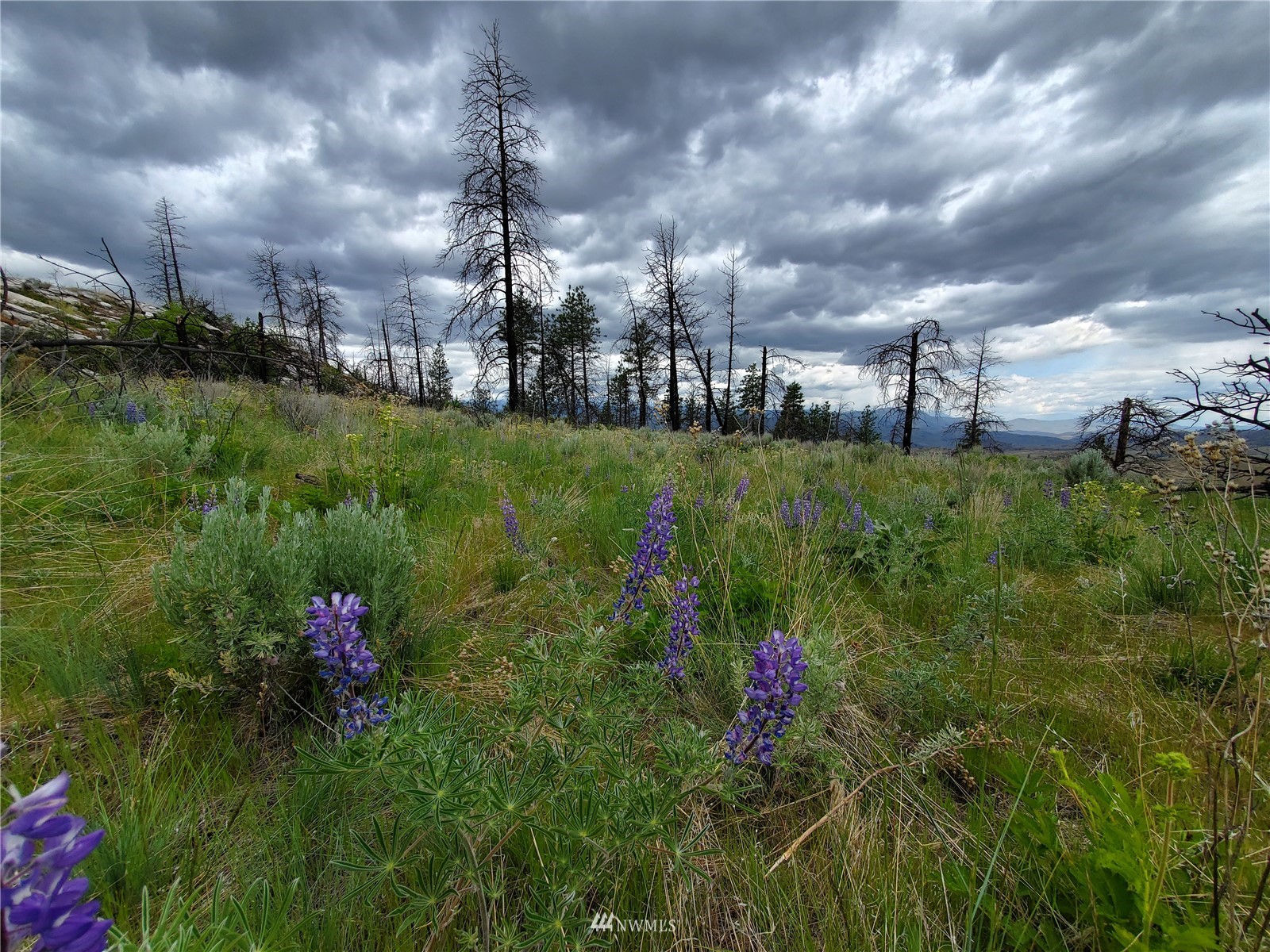 0 570x Tunk Creek Road Property Photo 18
