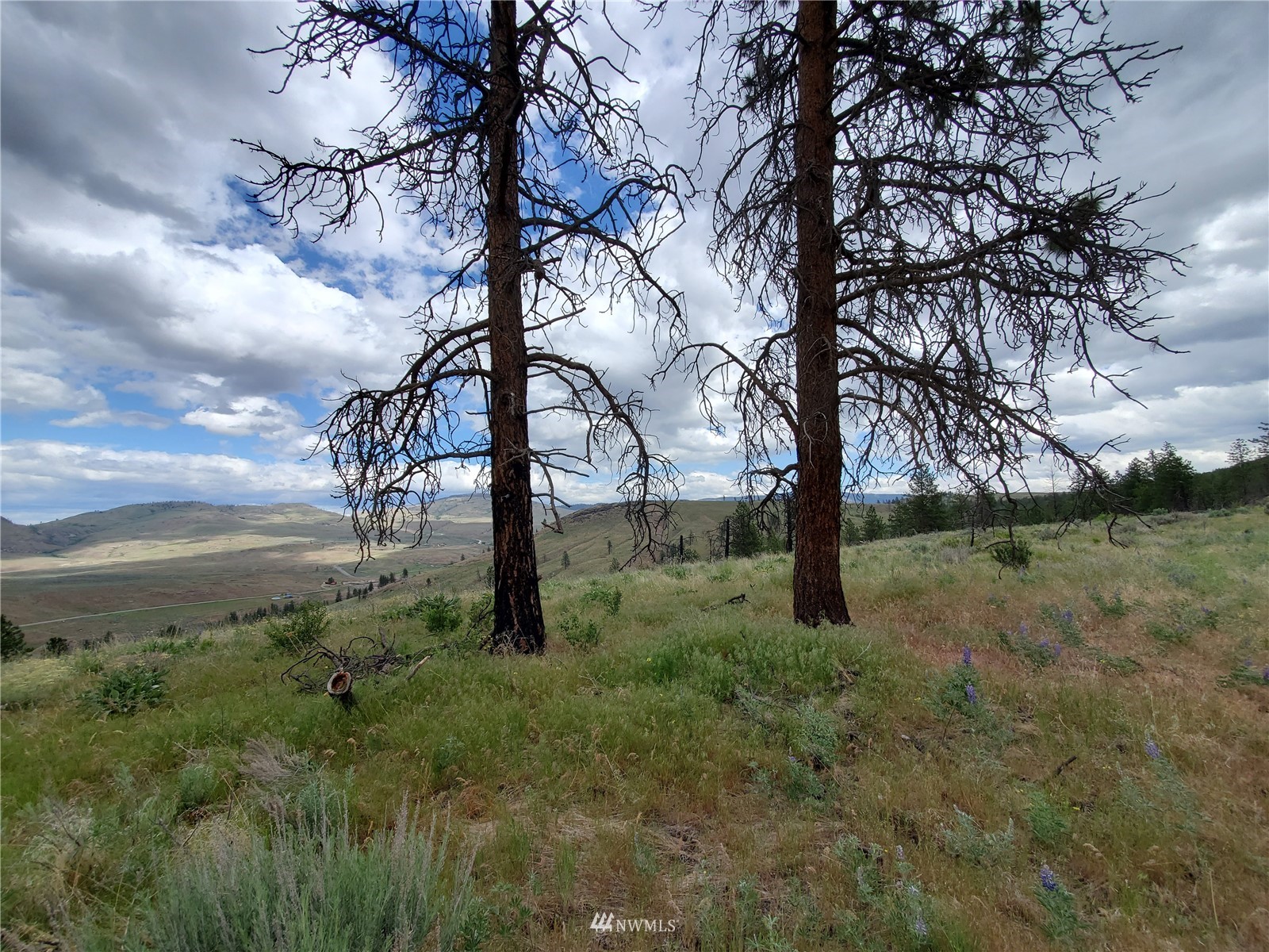 0 570x Tunk Creek Road Property Photo 19