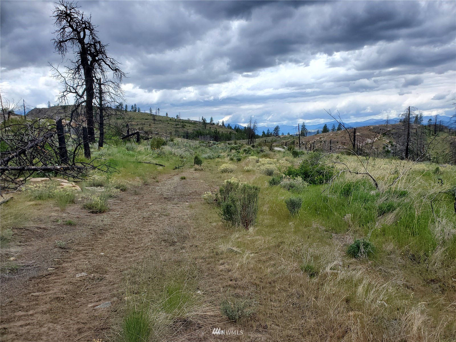 0 570x Tunk Creek Road Property Photo 22
