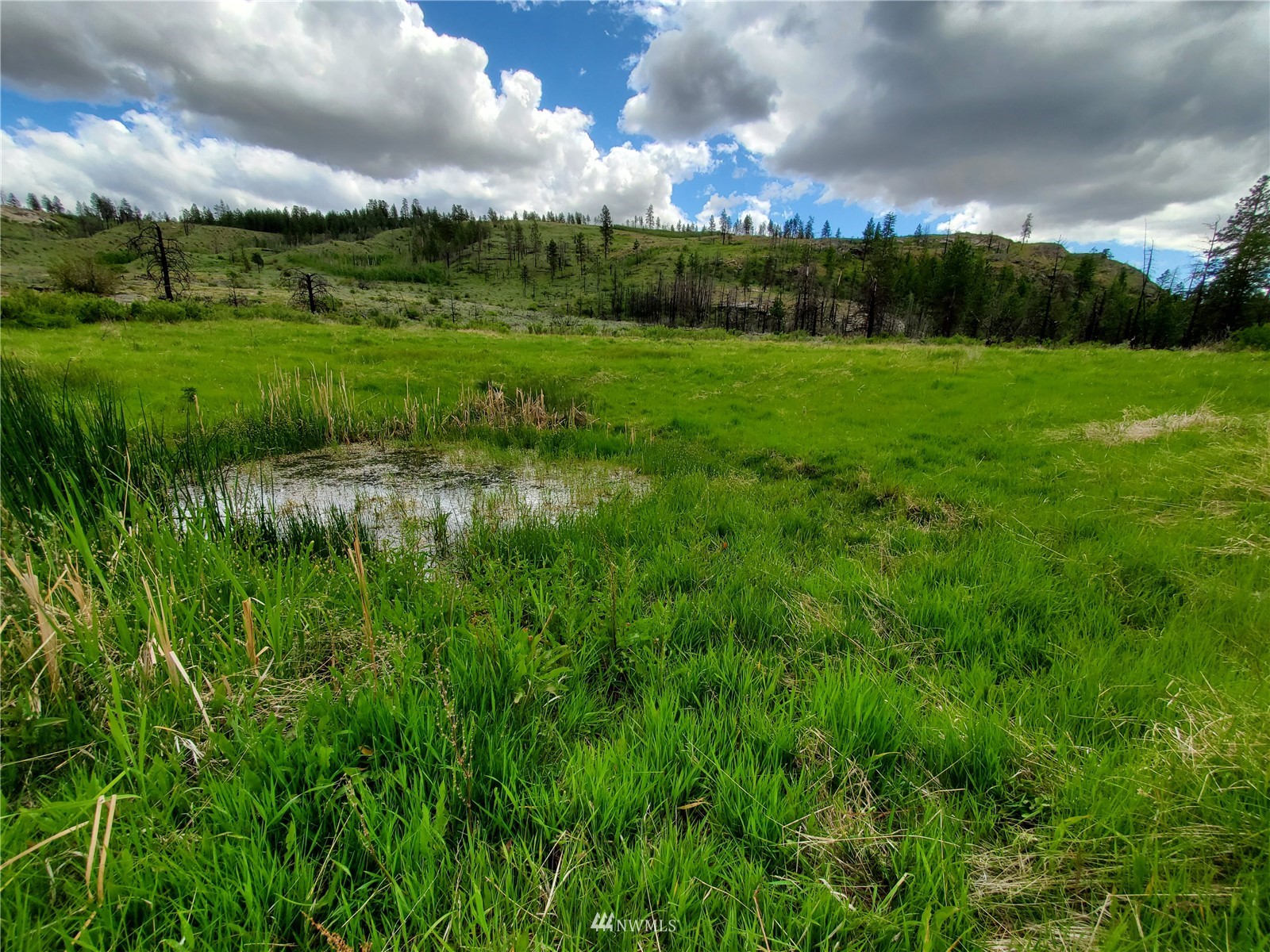 0 570x Tunk Creek Road Property Photo 24
