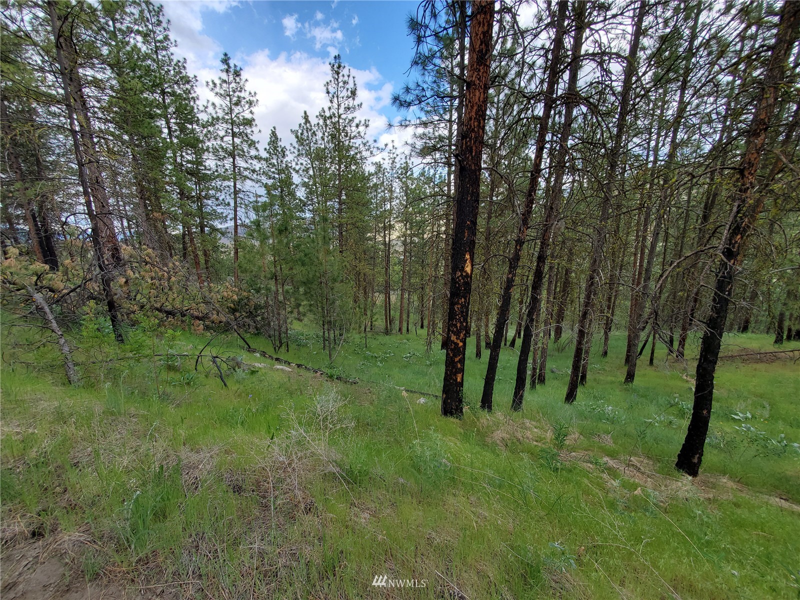 0 570x Tunk Creek Road Property Photo 27