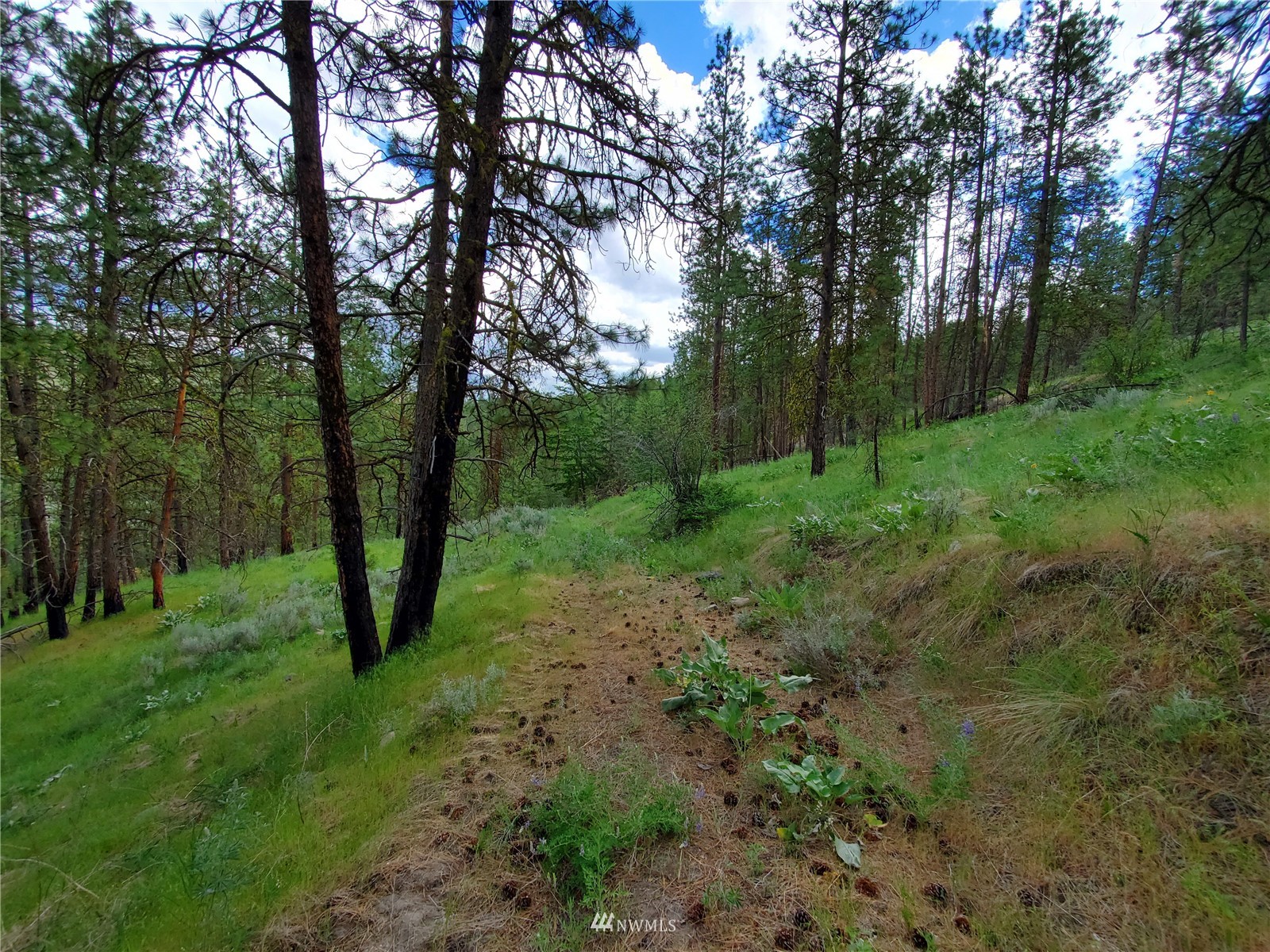 0 570x Tunk Creek Road Property Photo 28
