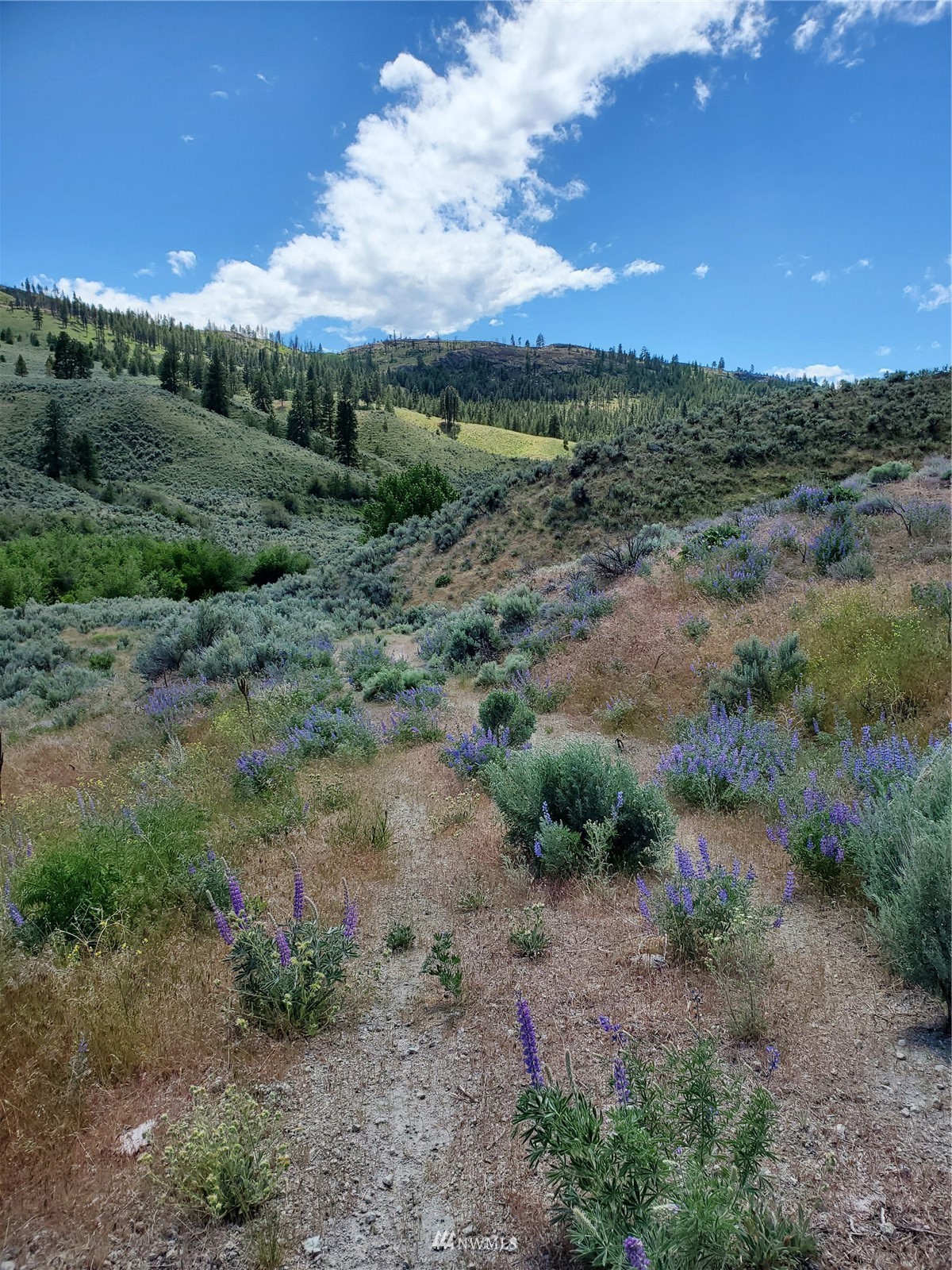0 570x Tunk Creek Road Property Photo 29