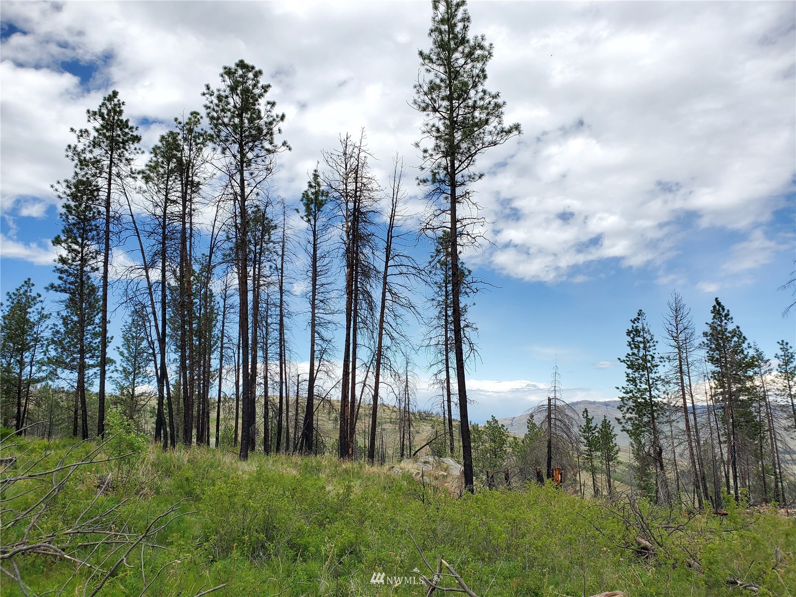 0 570x Tunk Creek Road Property Photo 30