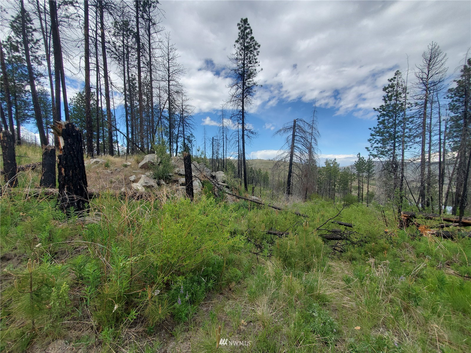 0 570x Tunk Creek Road Property Photo 31