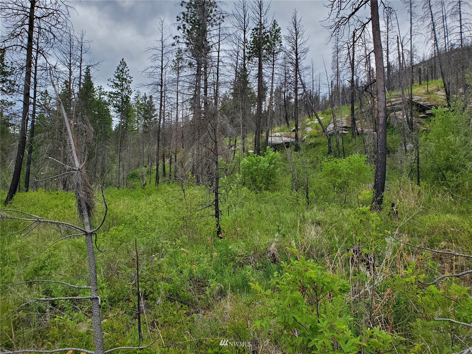 0 570x Tunk Creek Road Property Photo 32