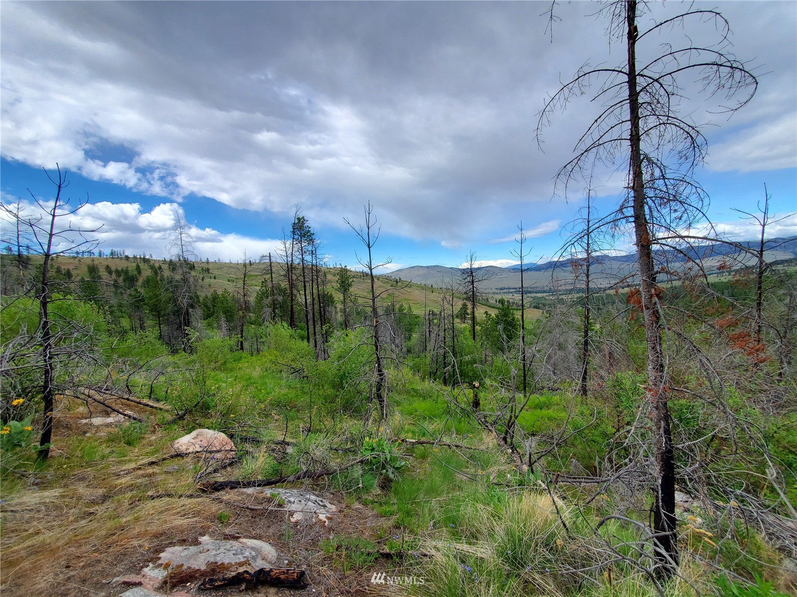 0 570x Tunk Creek Road Property Photo 33