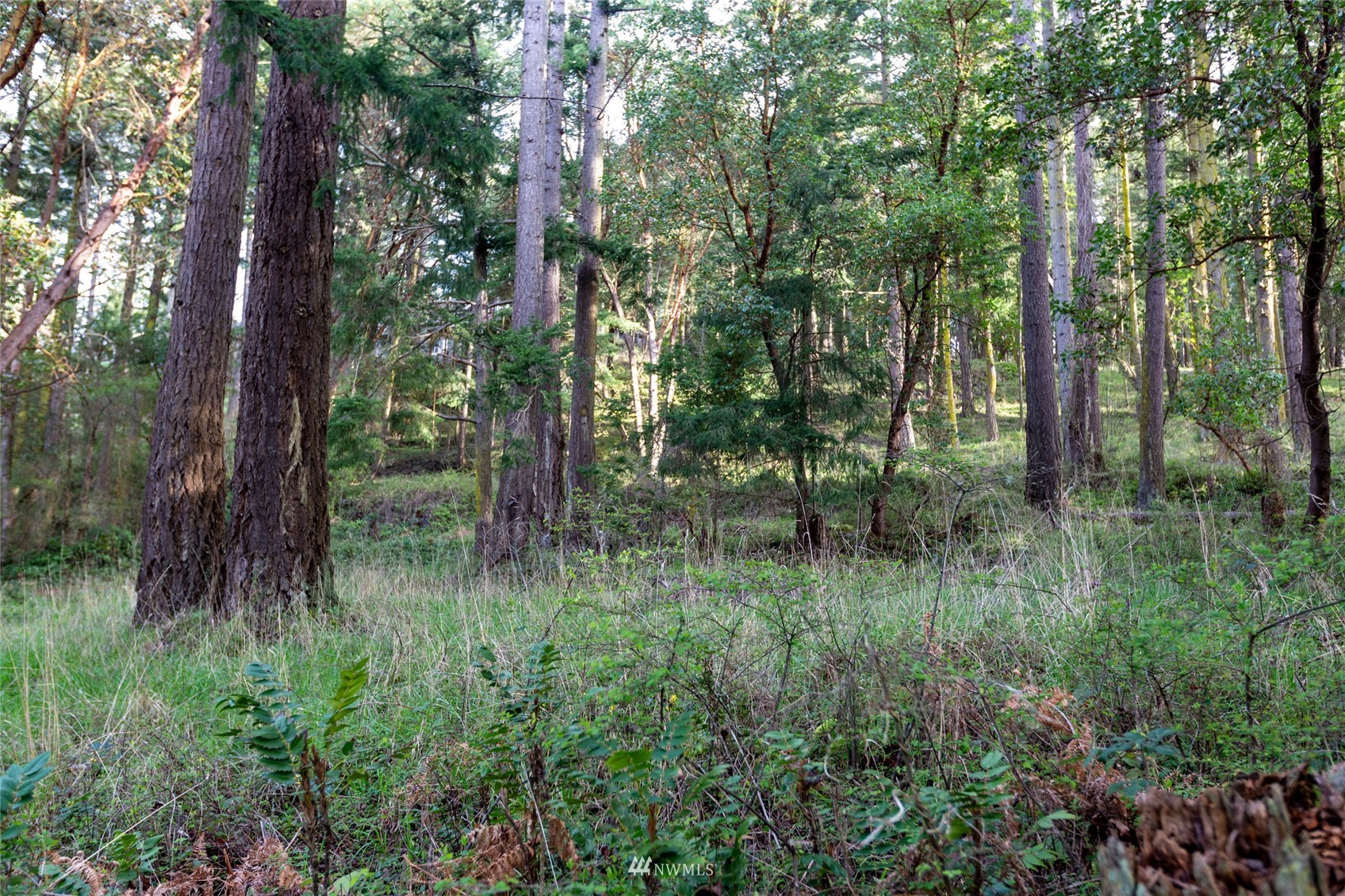 0 Afterglow Drive Property Photo 10