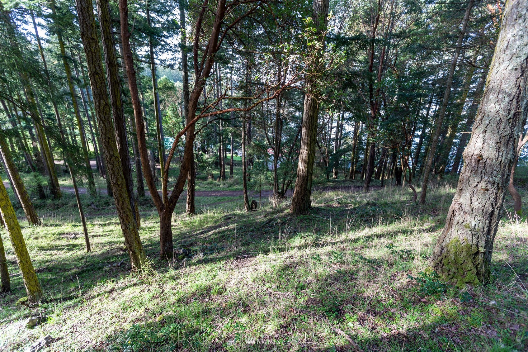 0 Afterglow Drive Property Photo 19