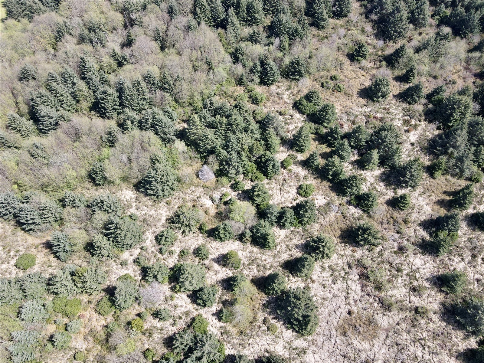 30 S State Route 105 Property Photo 6