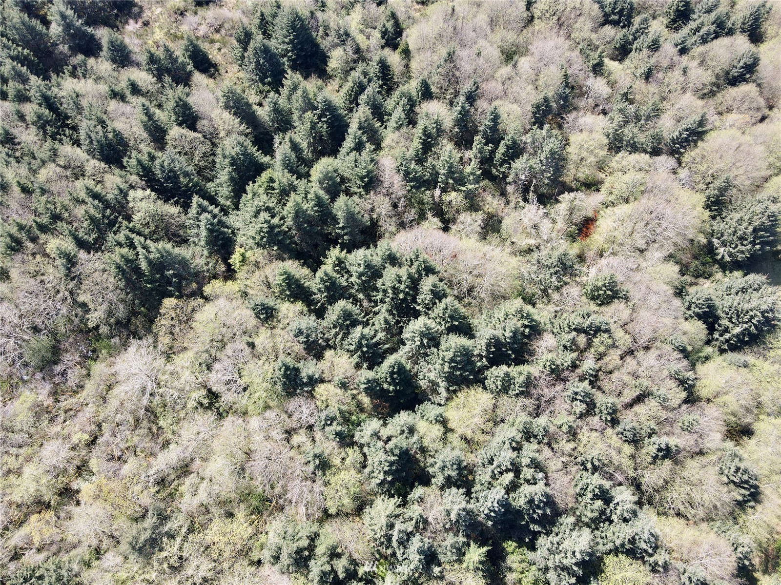 30 S State Route 105 Property Photo 8