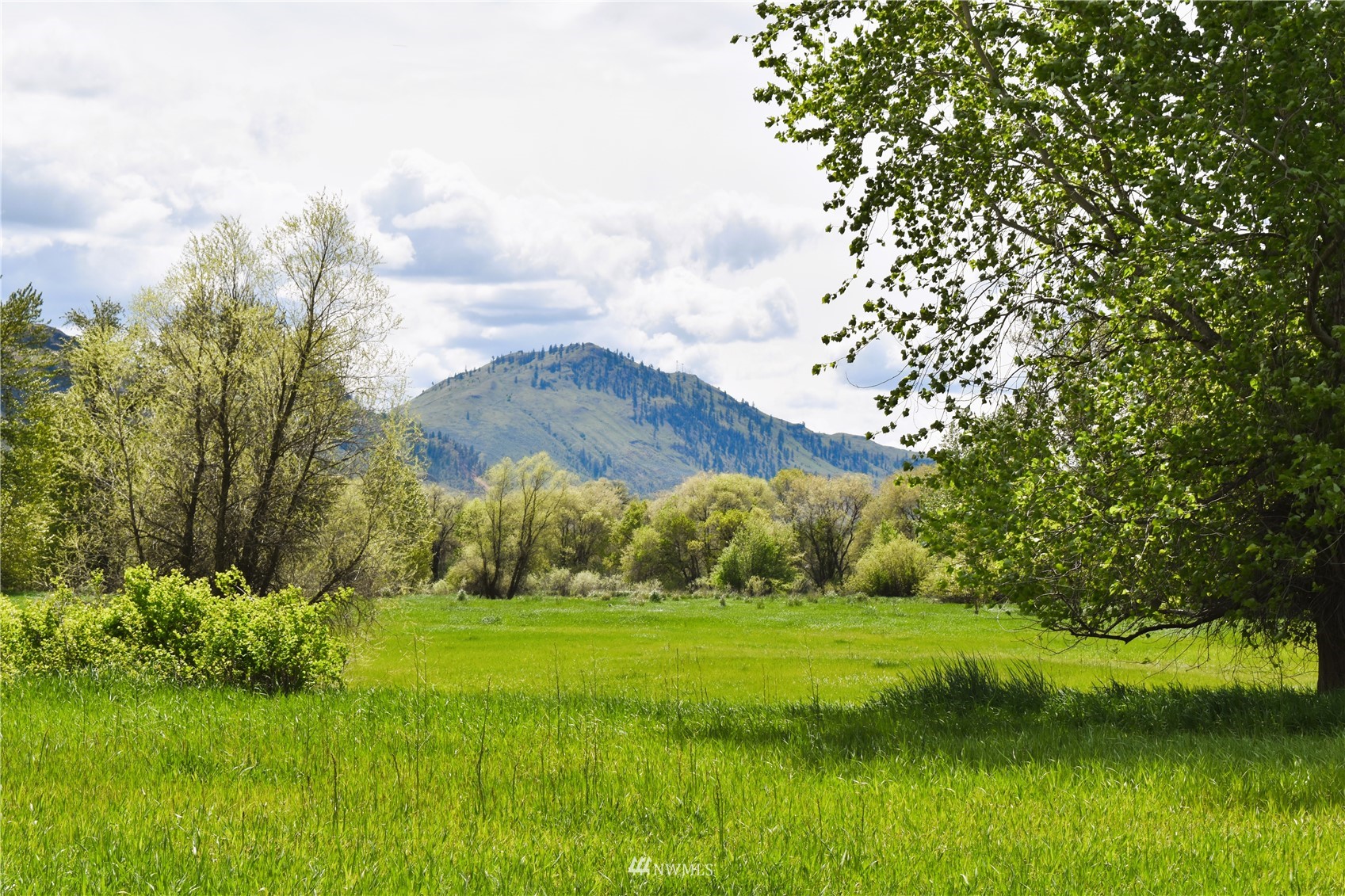 1640 Highway 7 Property Photo 18