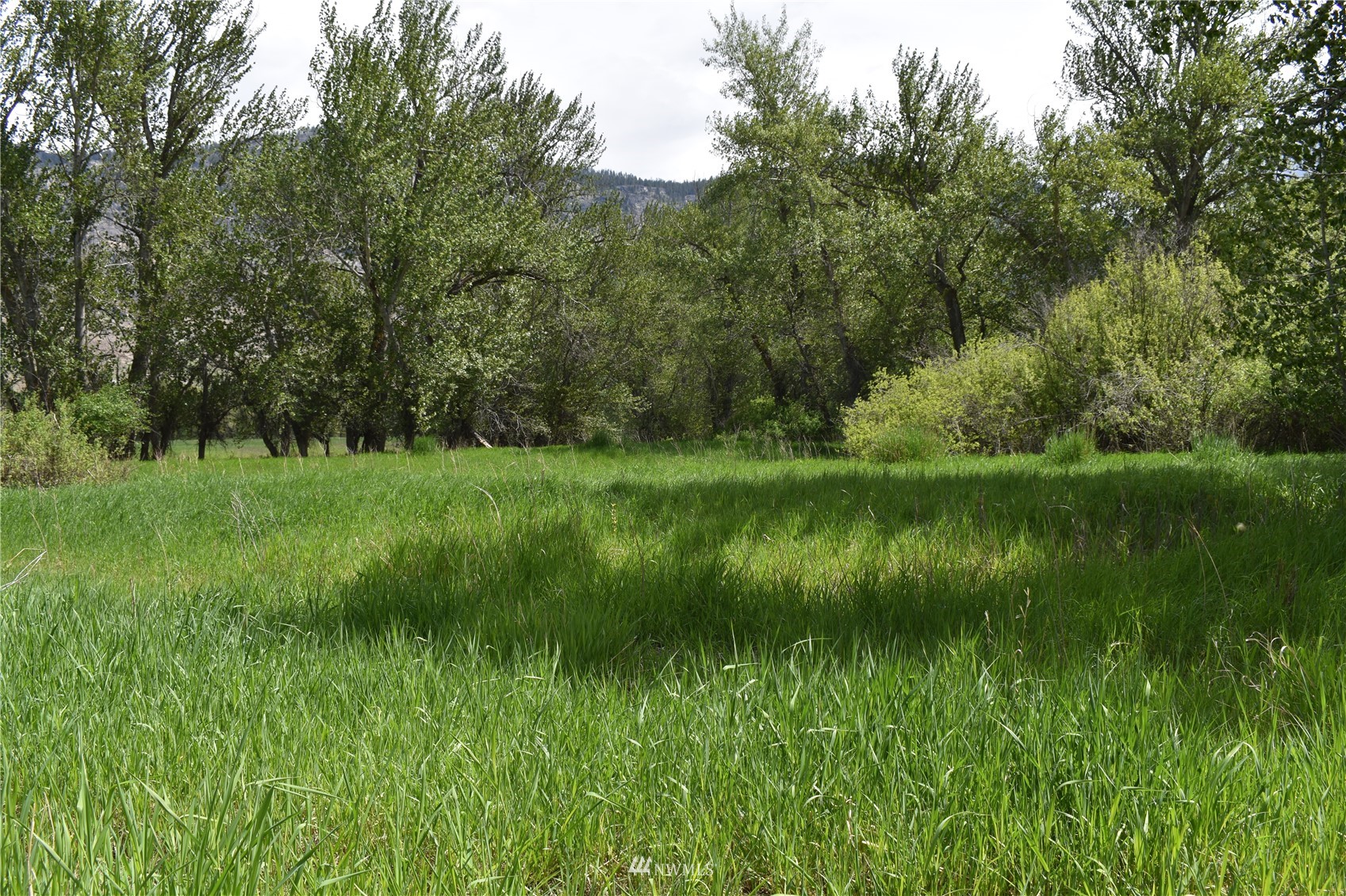1640 Highway 7 Property Photo 19