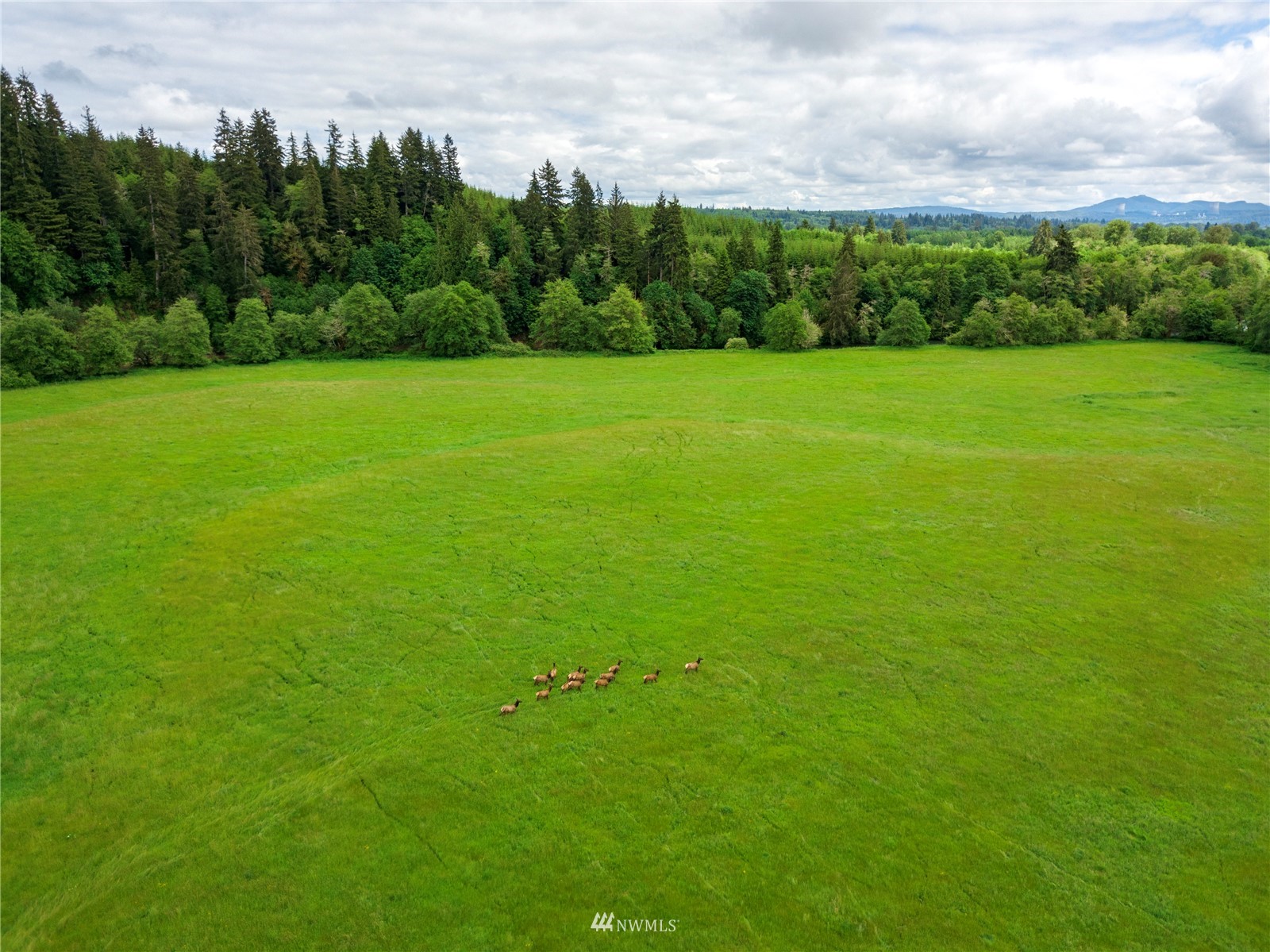 732 Satsop Road Property Photo 28