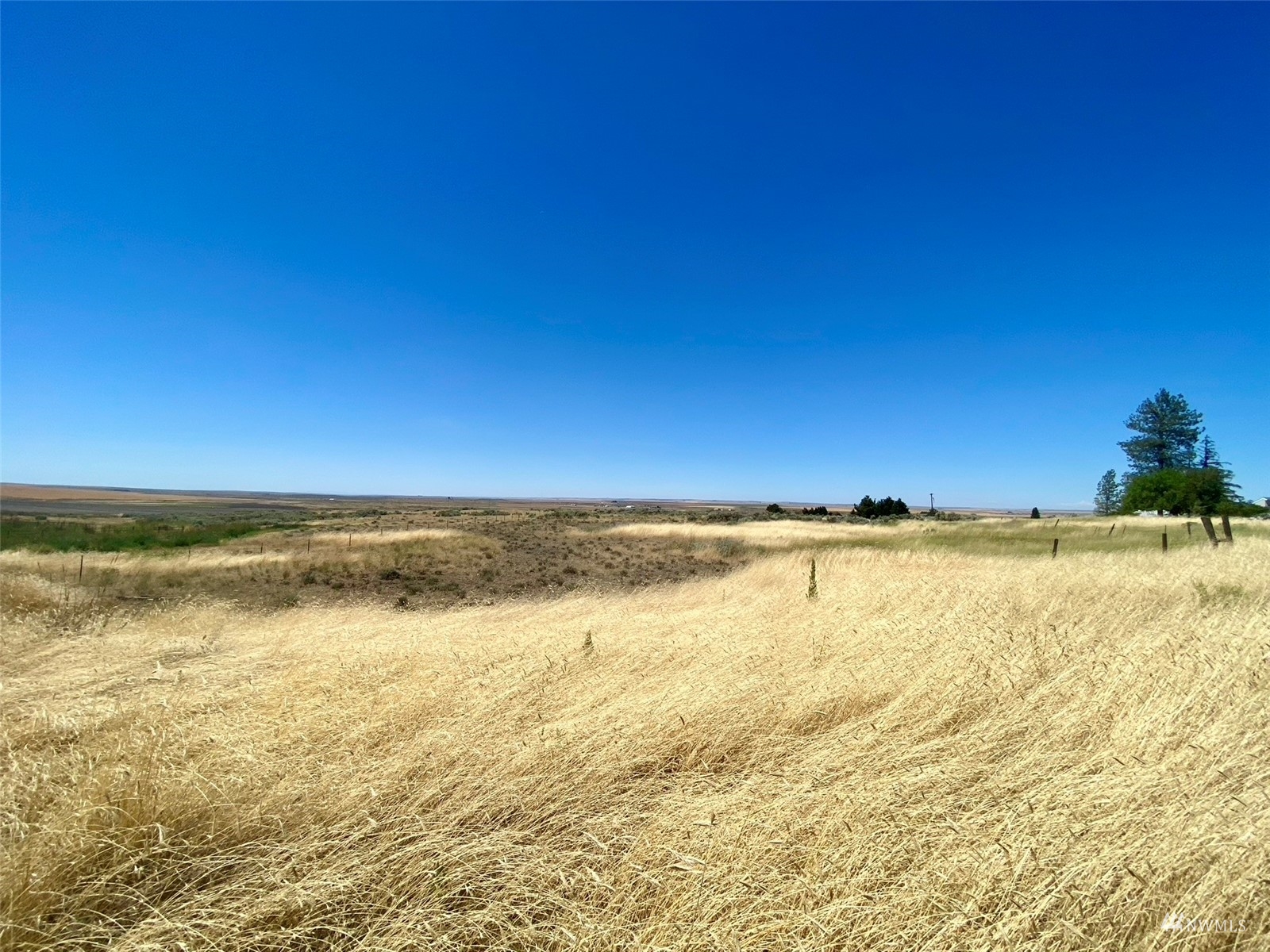 0 Sw Trinity Avenue Property Photo 3