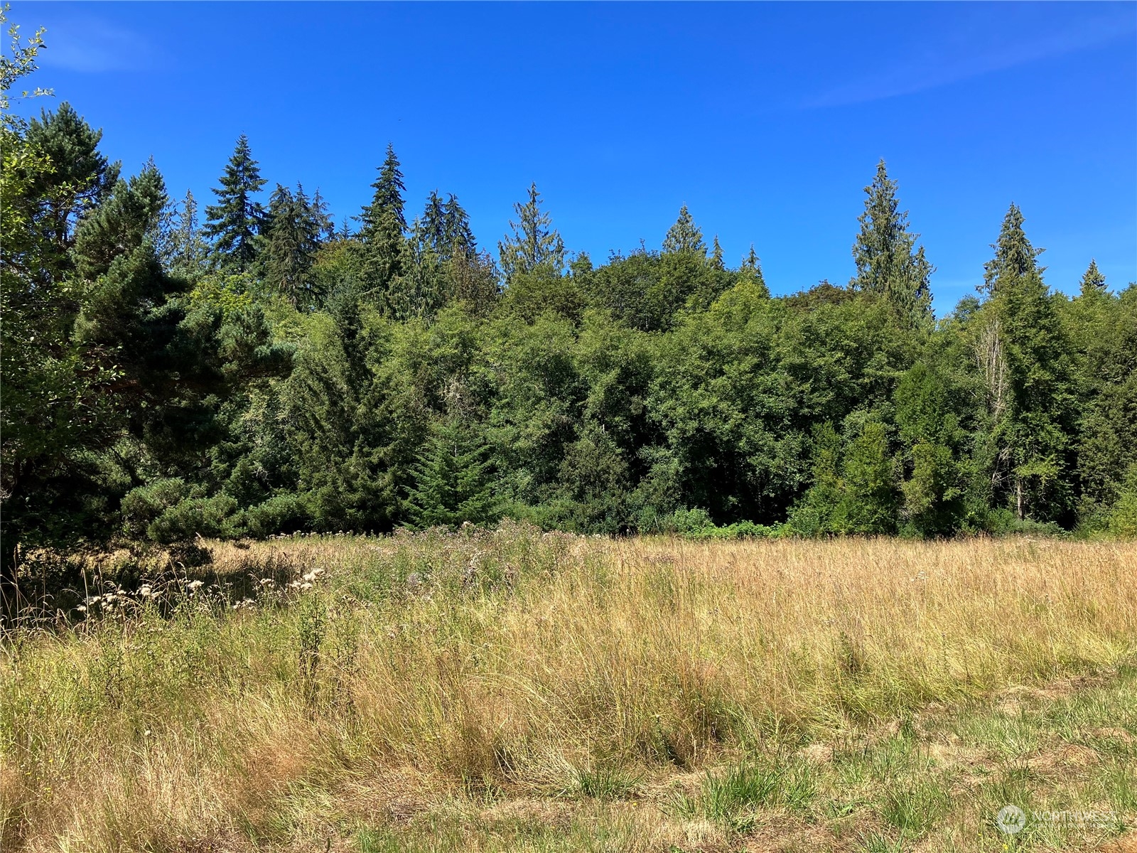 1173 Old Olympic Hwy Highway Property Photo 1