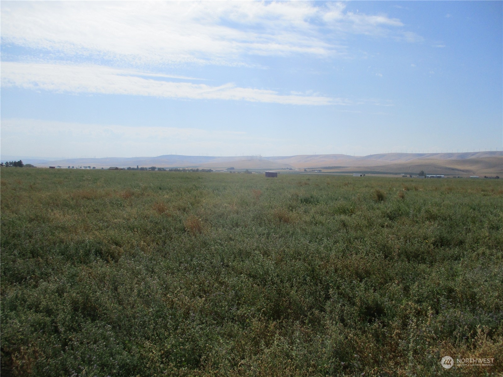 0 Lot 53 Thurber Road Property Photo