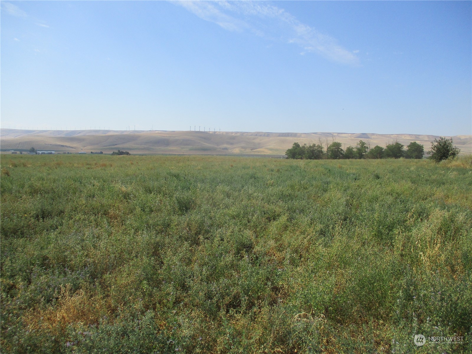 0 Lot 53 Thurber Road Property Photo 2
