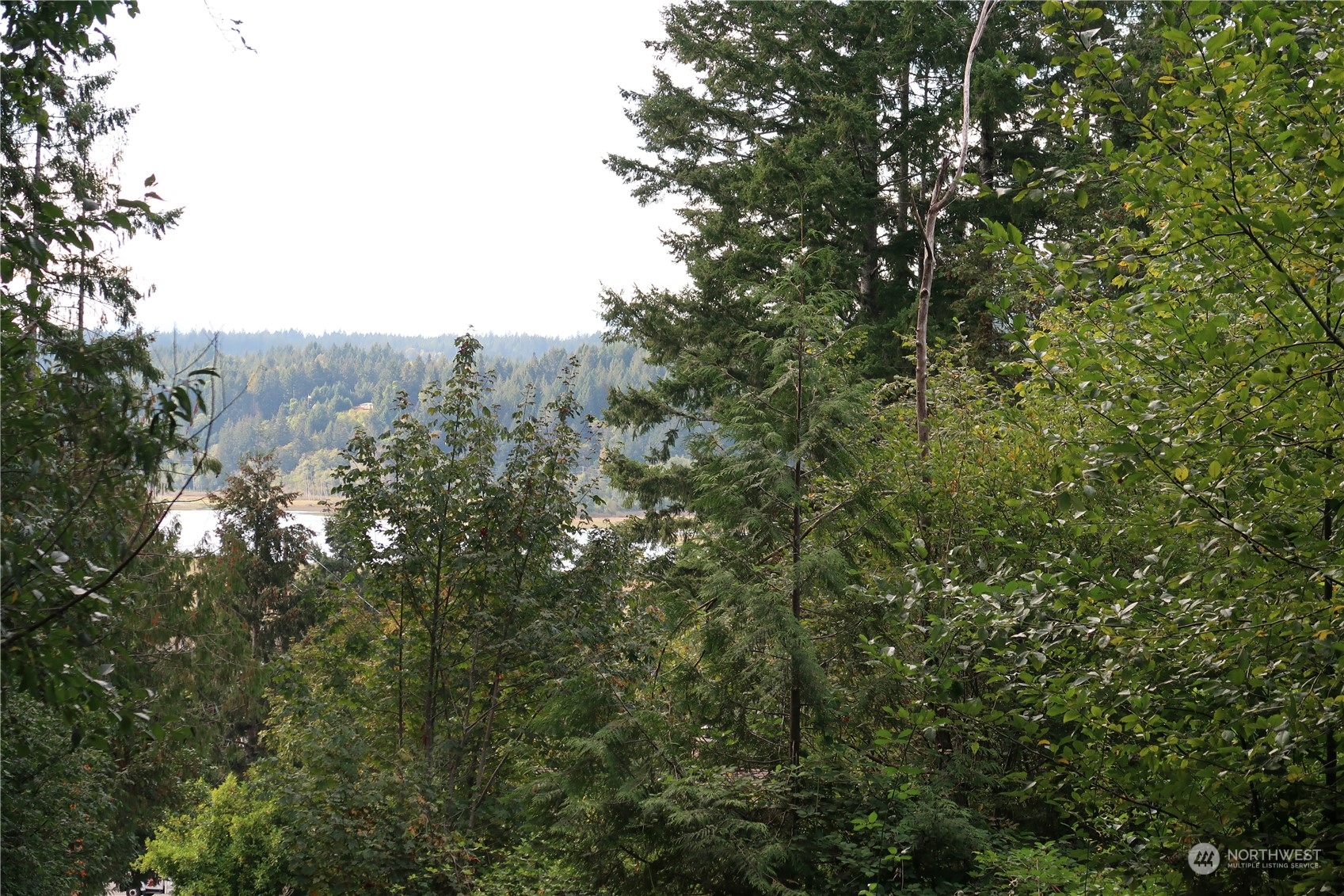 49 Lot State Route 3 Property Photo 6