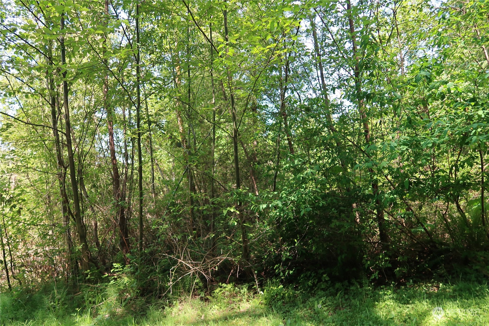 49 Lot State Route 3 Property Photo 8
