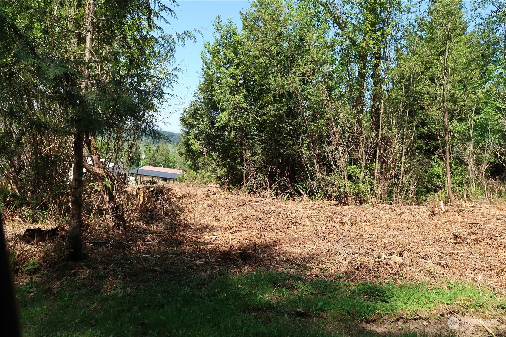 49 Lot State Route 3 Property Photo 15