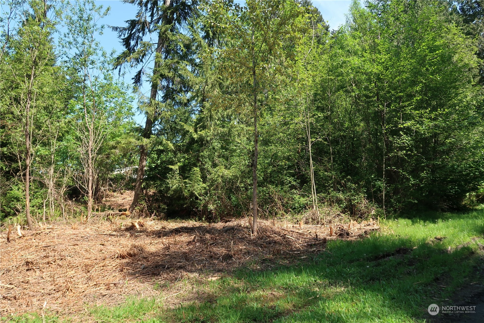 49 Lot State Route 3 Property Photo 16