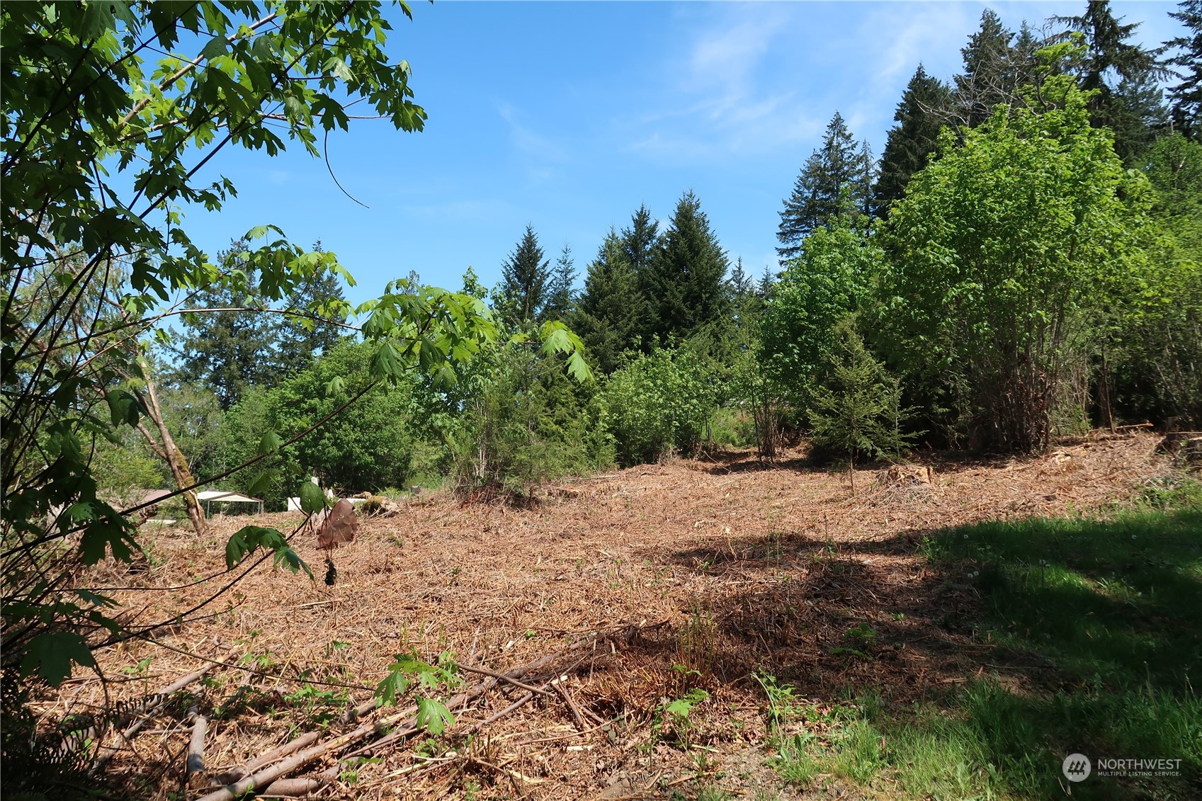 49 Lot State Route 3 Property Photo 18
