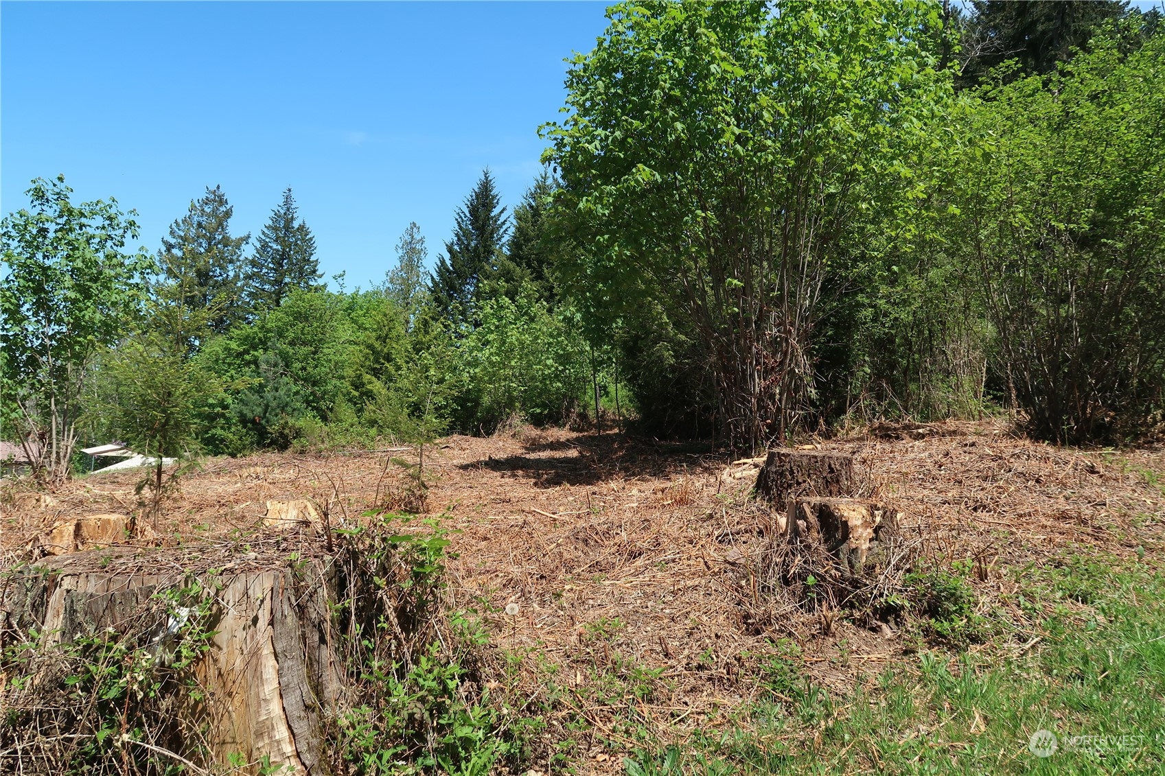 49 Lot State Route 3 Property Photo 19