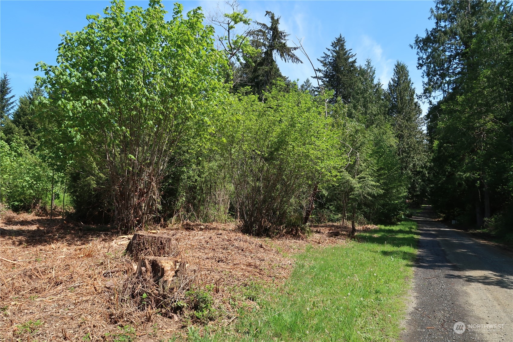 49 Lot State Route 3 Property Photo 20