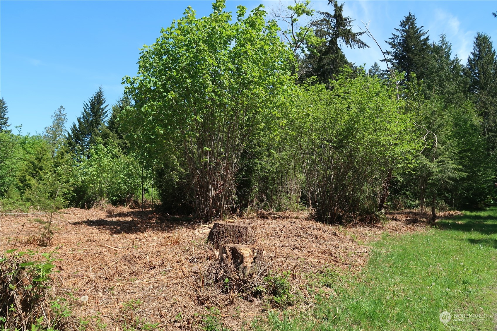 49 Lot State Route 3 Property Photo 21