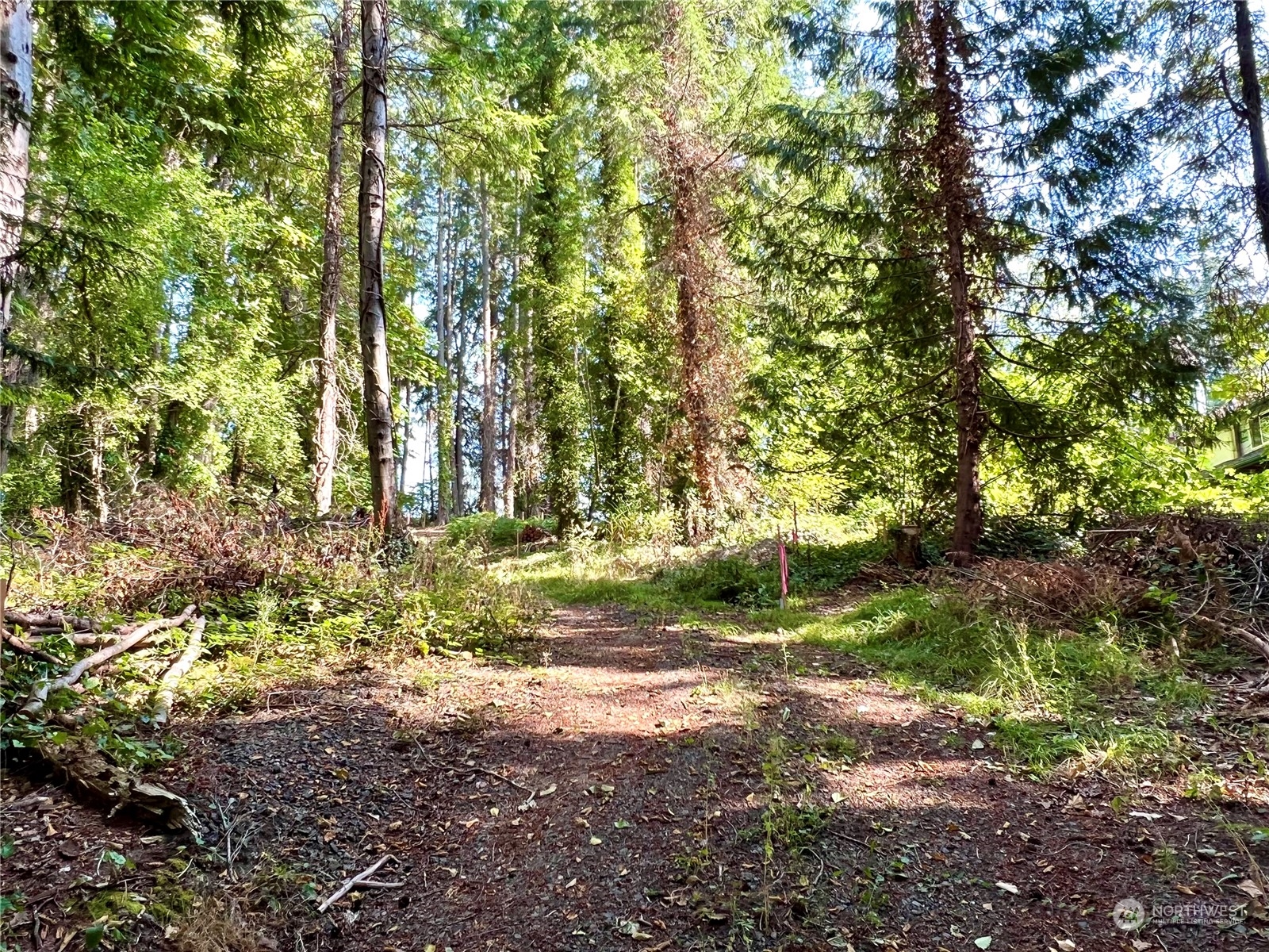 6809 Sw Cliff Property Photo 12