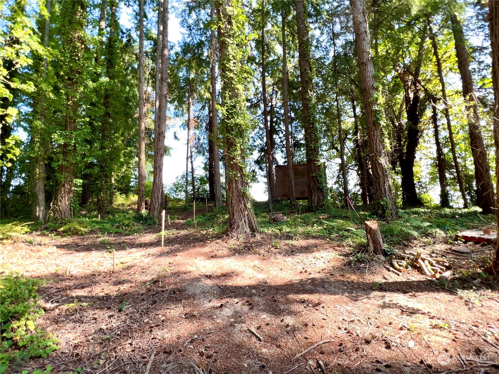 6809 Sw Cliff Property Photo 21