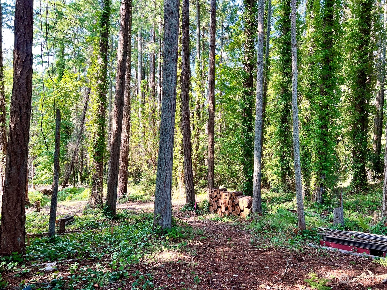 6809 Sw Cliff Property Photo 26