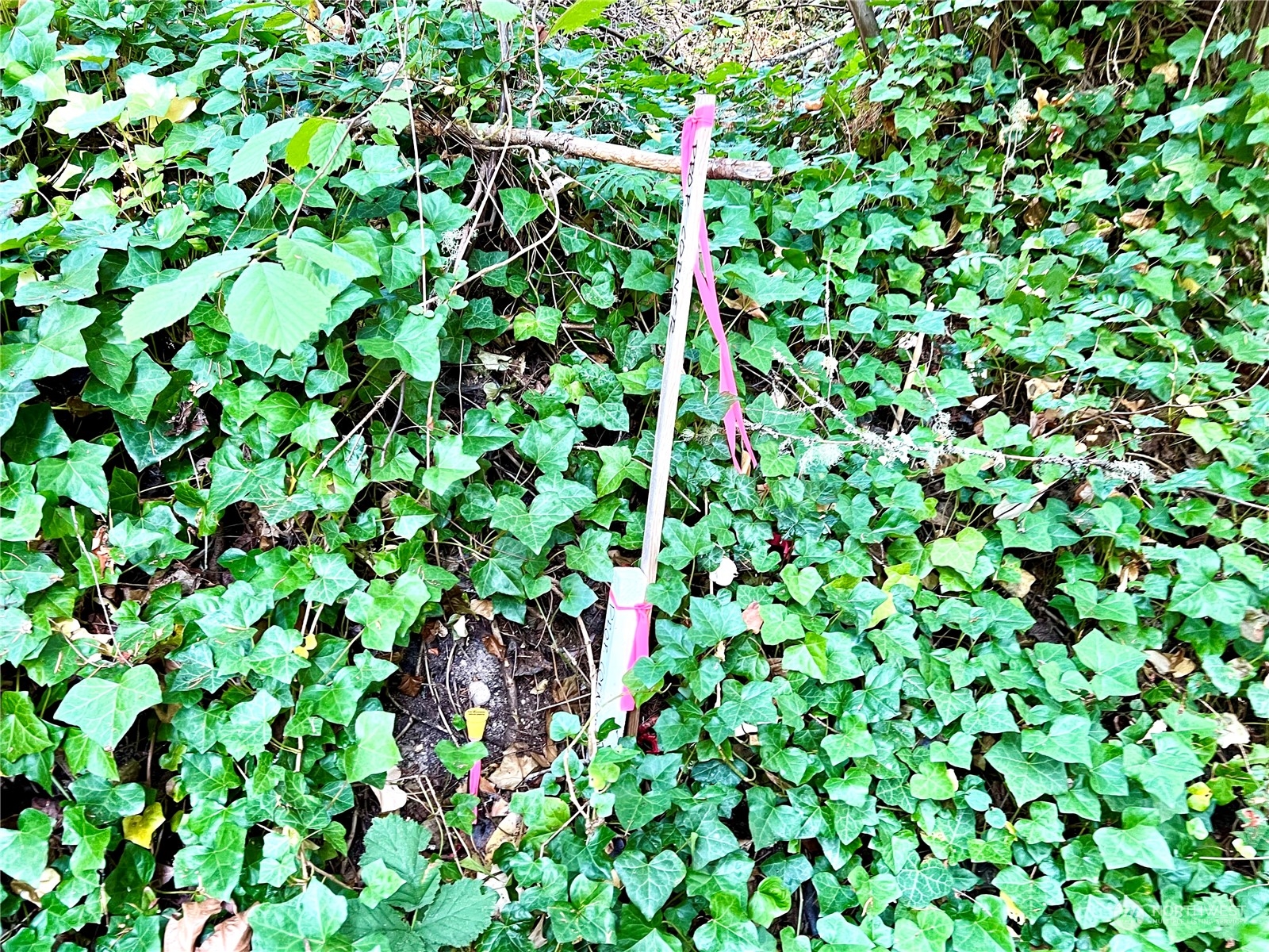 6809 Sw Cliff Property Photo 34