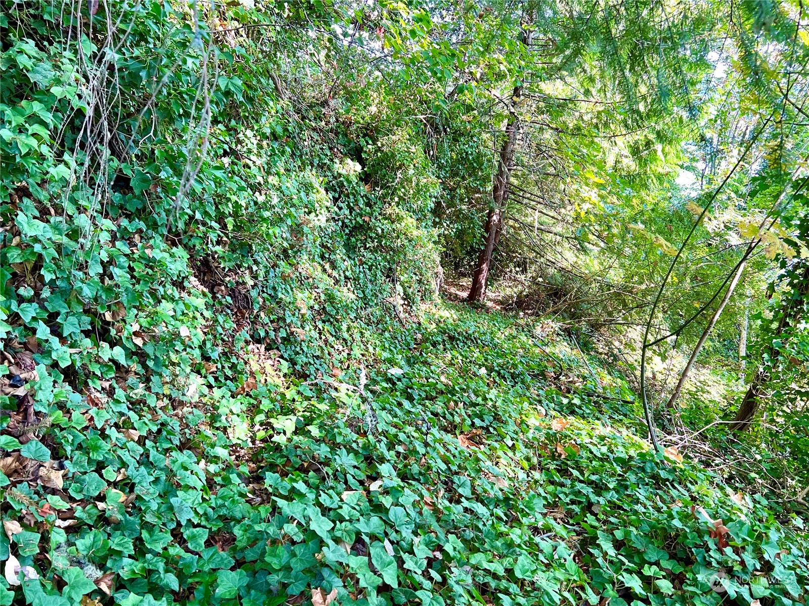 6809 Sw Cliff Property Photo 36