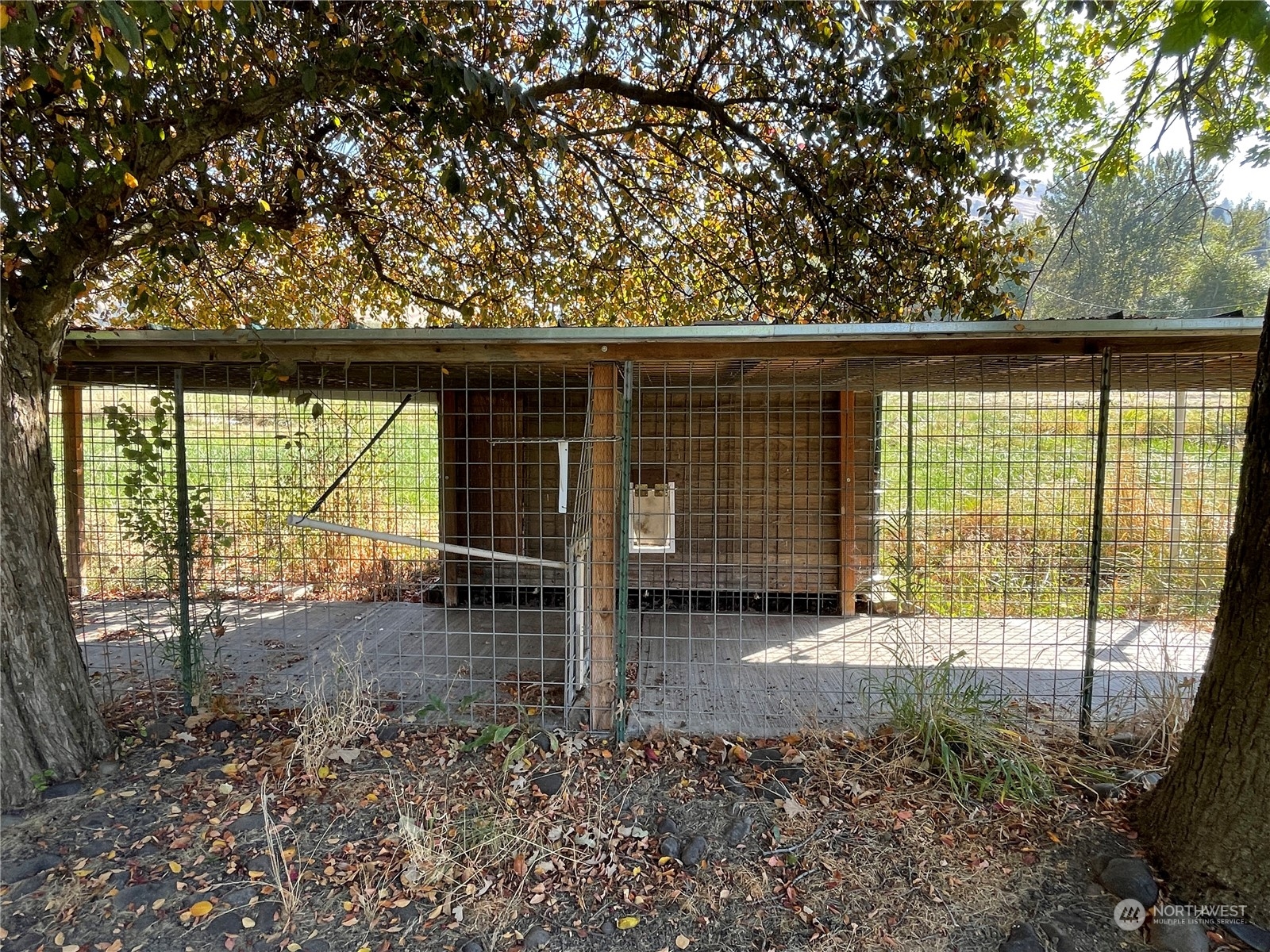 103 Wolf Fork Road Property Photo 24