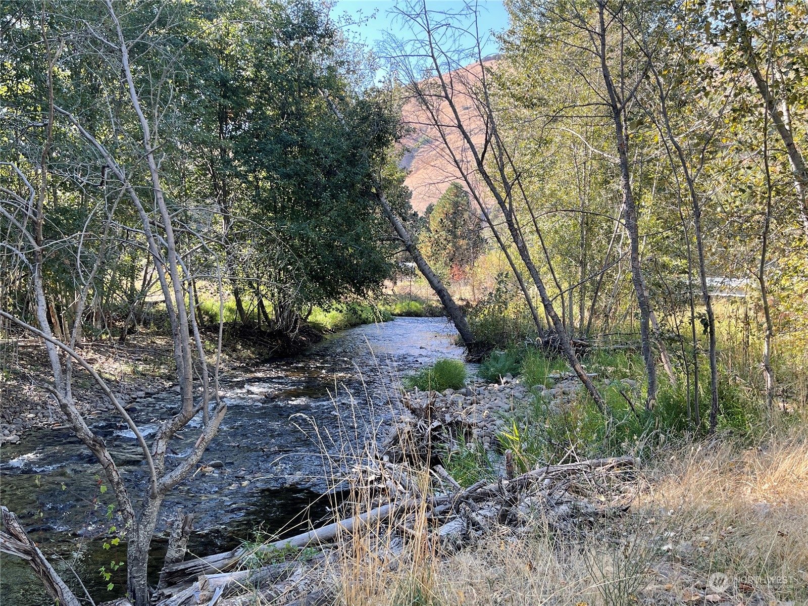 103 Wolf Fork Road Property Photo 33