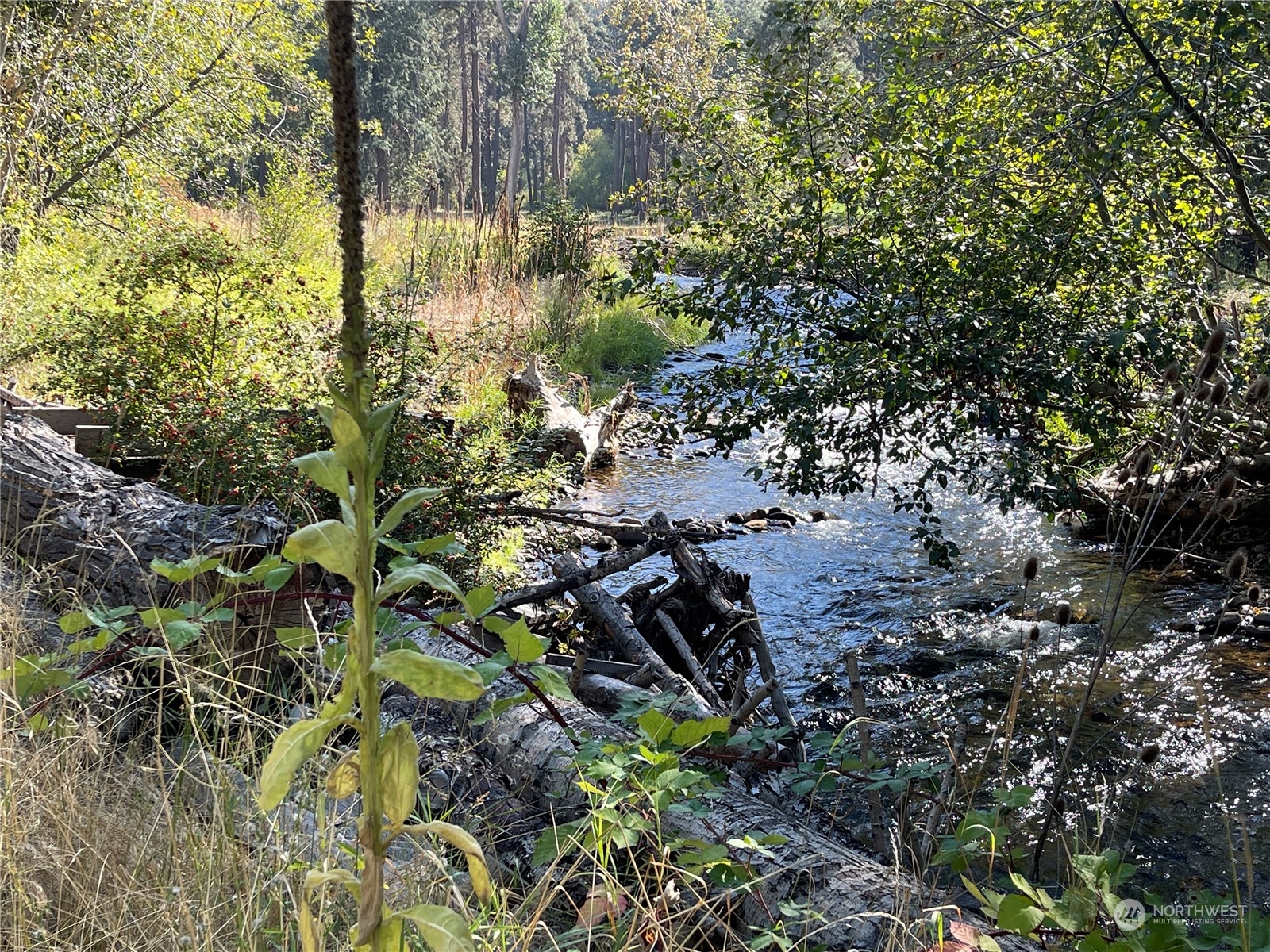 103 Wolf Fork Road Property Photo 34