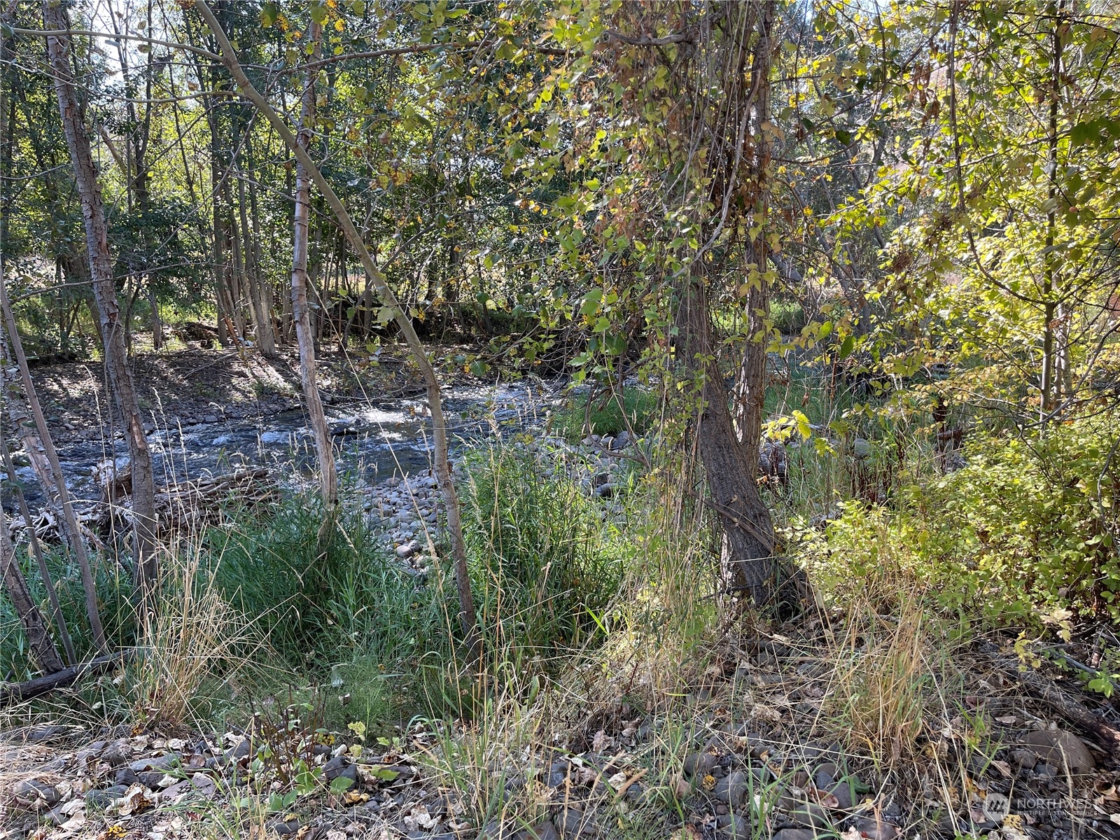 103 Wolf Fork Road Property Photo 36