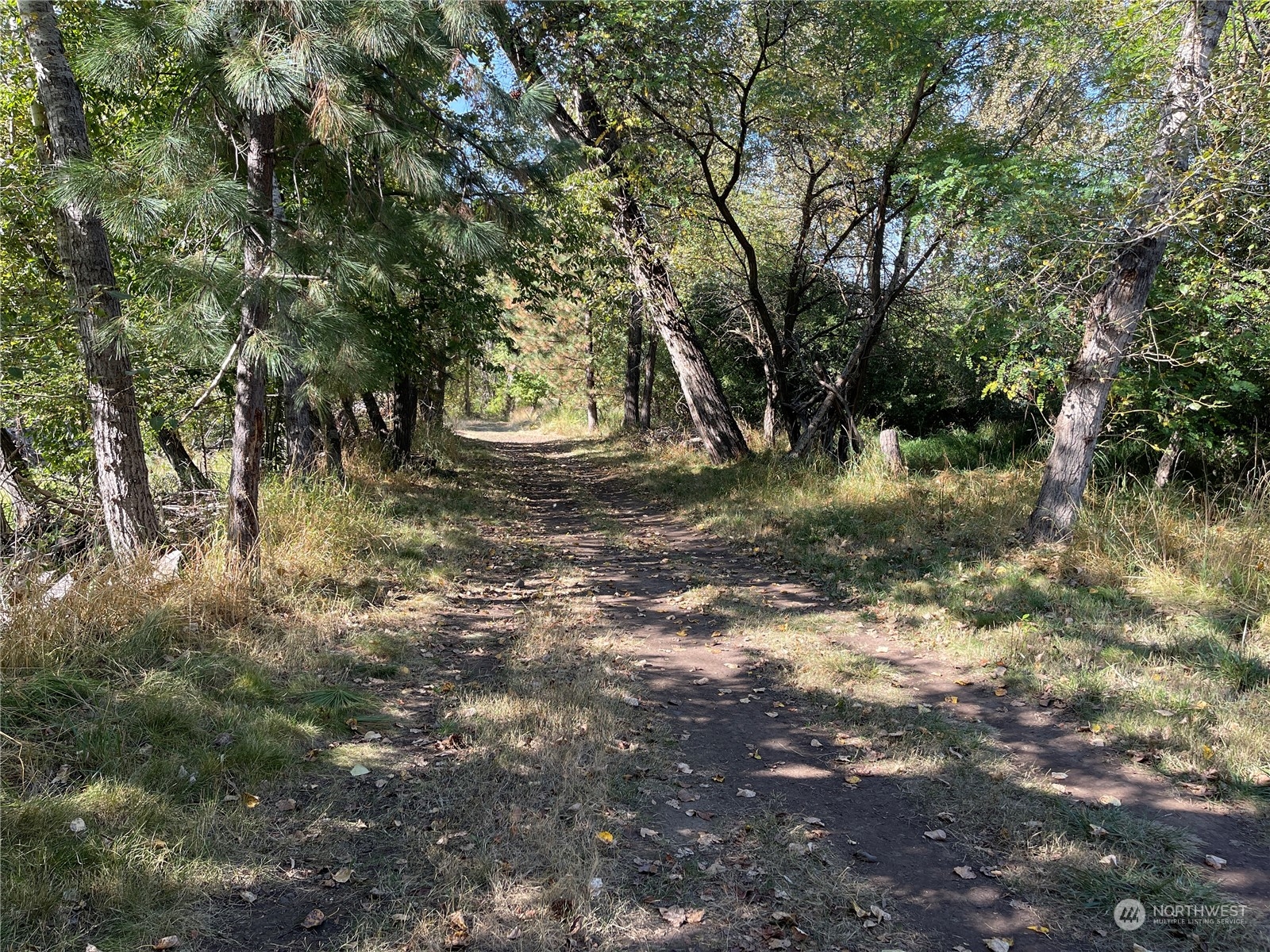 103 Wolf Fork Road Property Photo 37